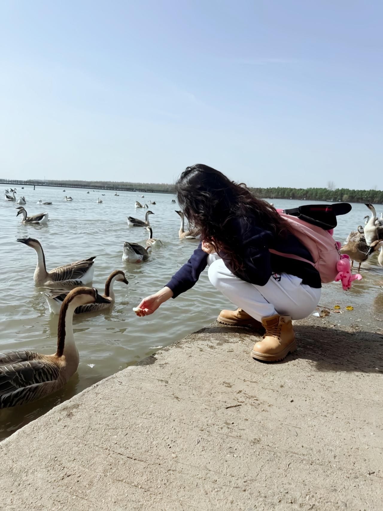 From Shanghai: Chongming Island Nature Day Trip with Sunset 2
