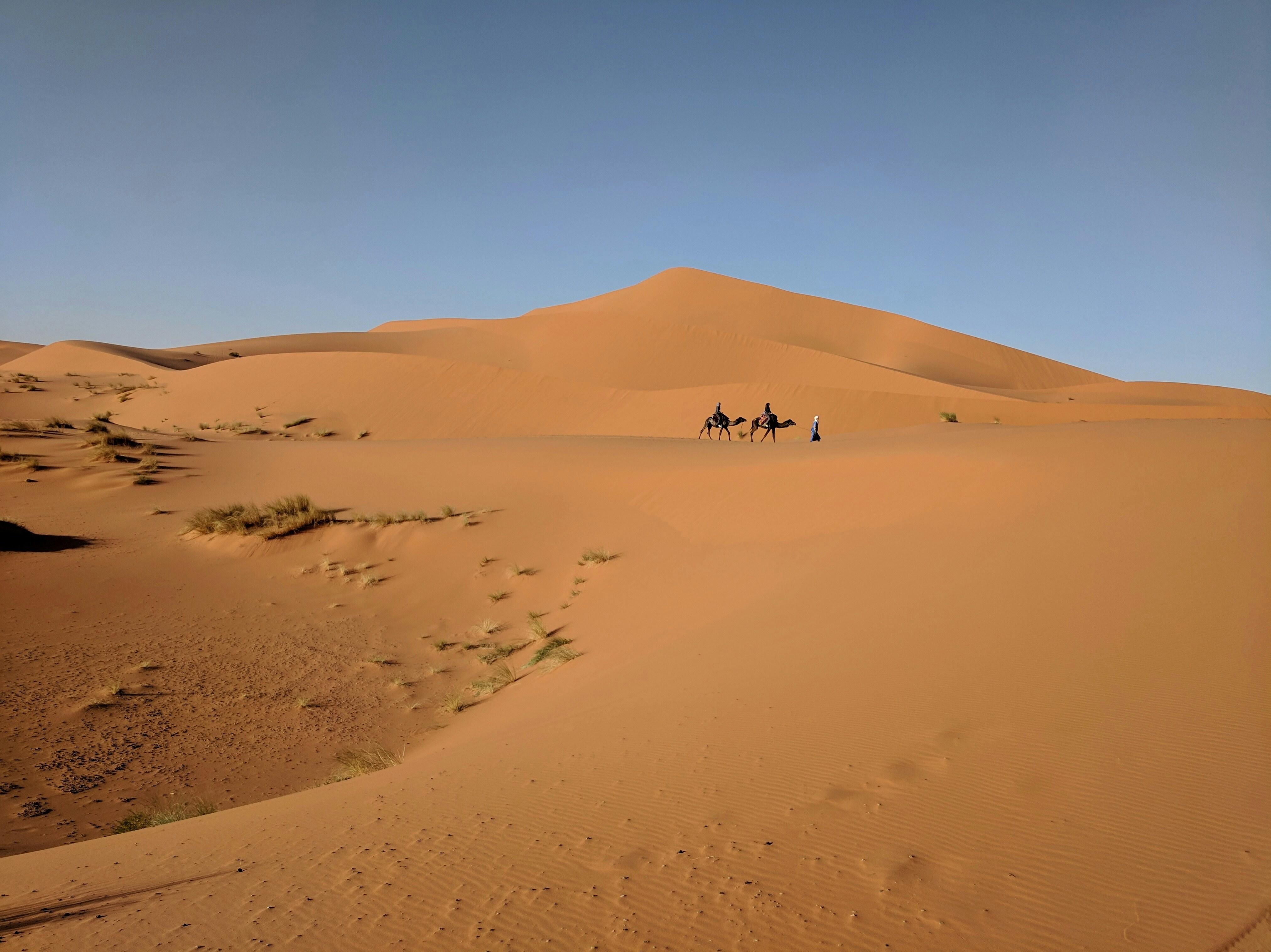 Doha: Half-Day Desert Safari with Camel Ride & Sandboarding 3