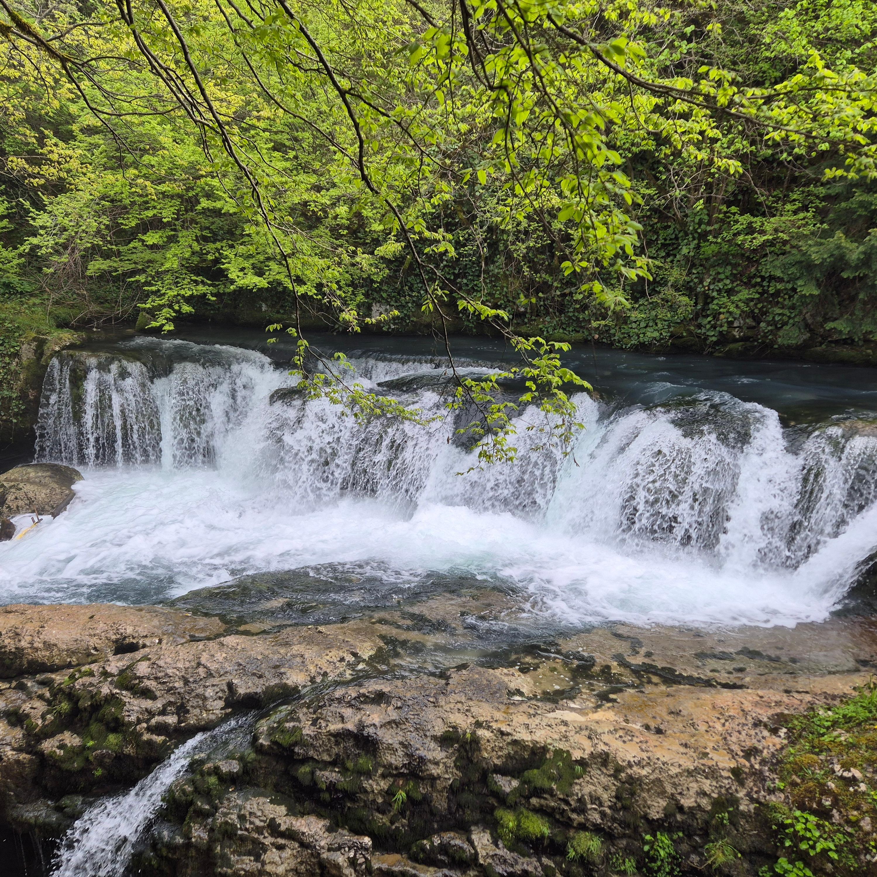 From Batumi: Martvili Canyon, Prometheous Cave Guided tour 3