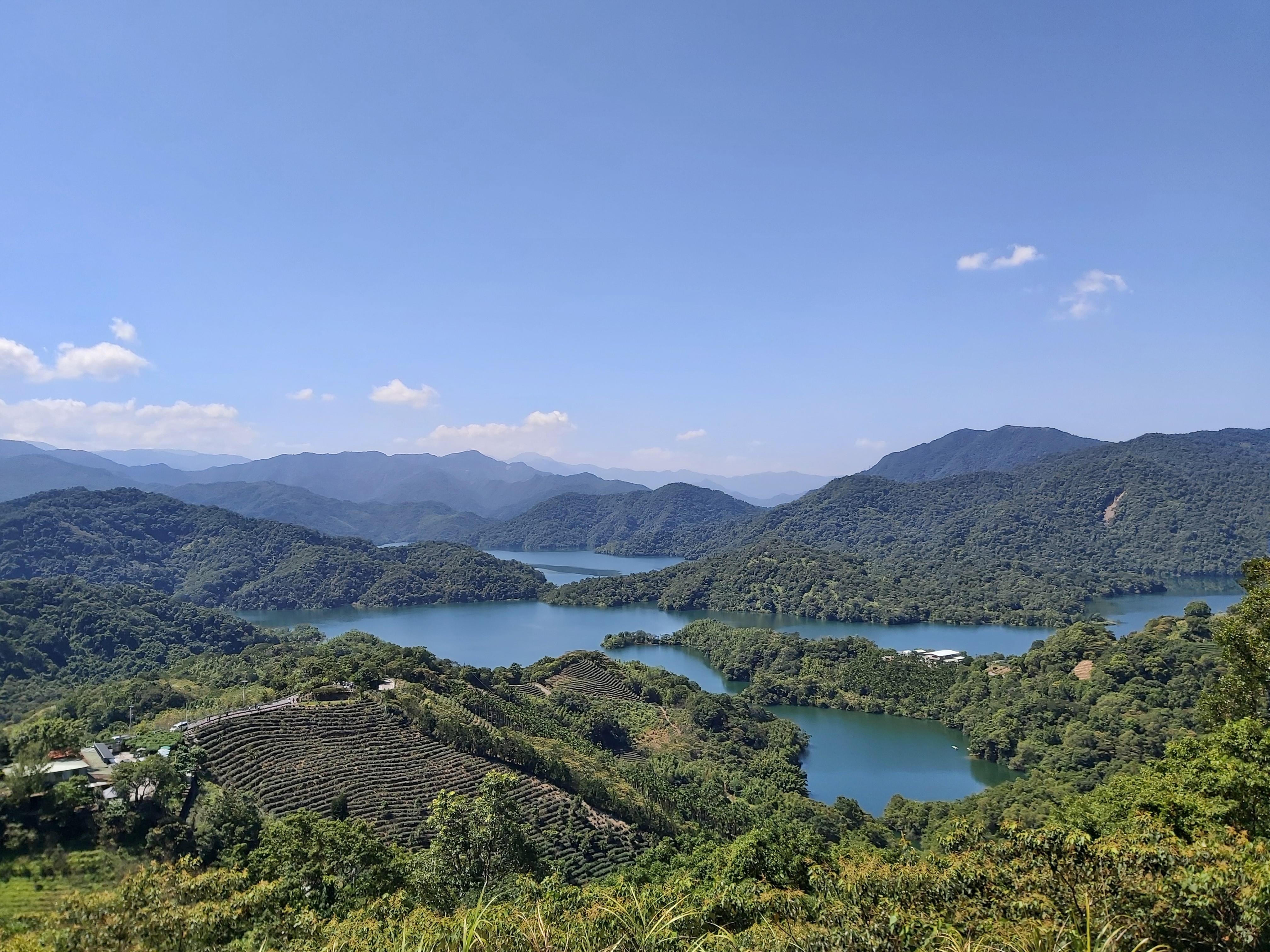 From Taipei: Pinglin Tea Culture and Maokong Gondola Tour 2