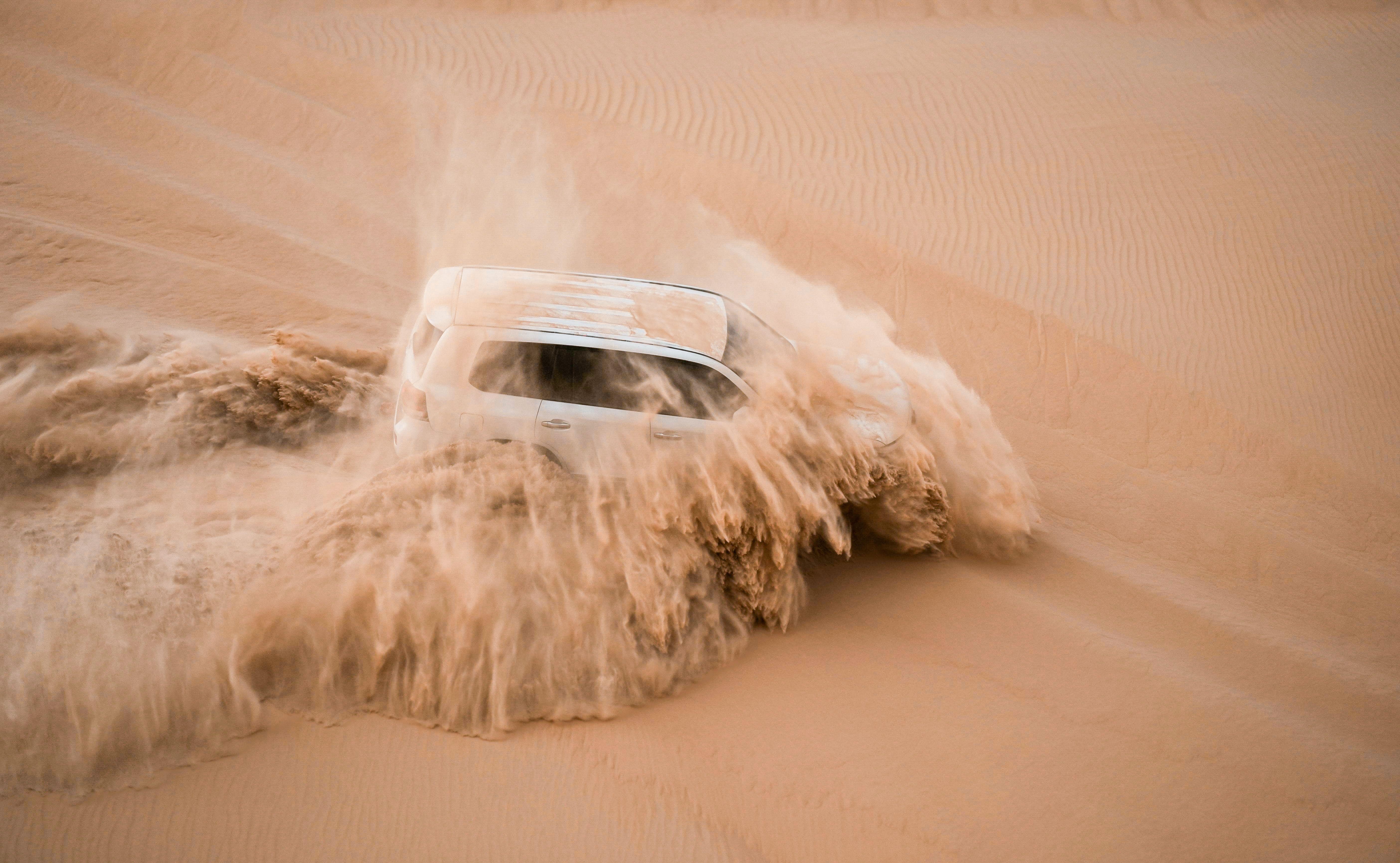 Doha: Private Sunset Safari, Falcon Photo & Scarf Gift 3