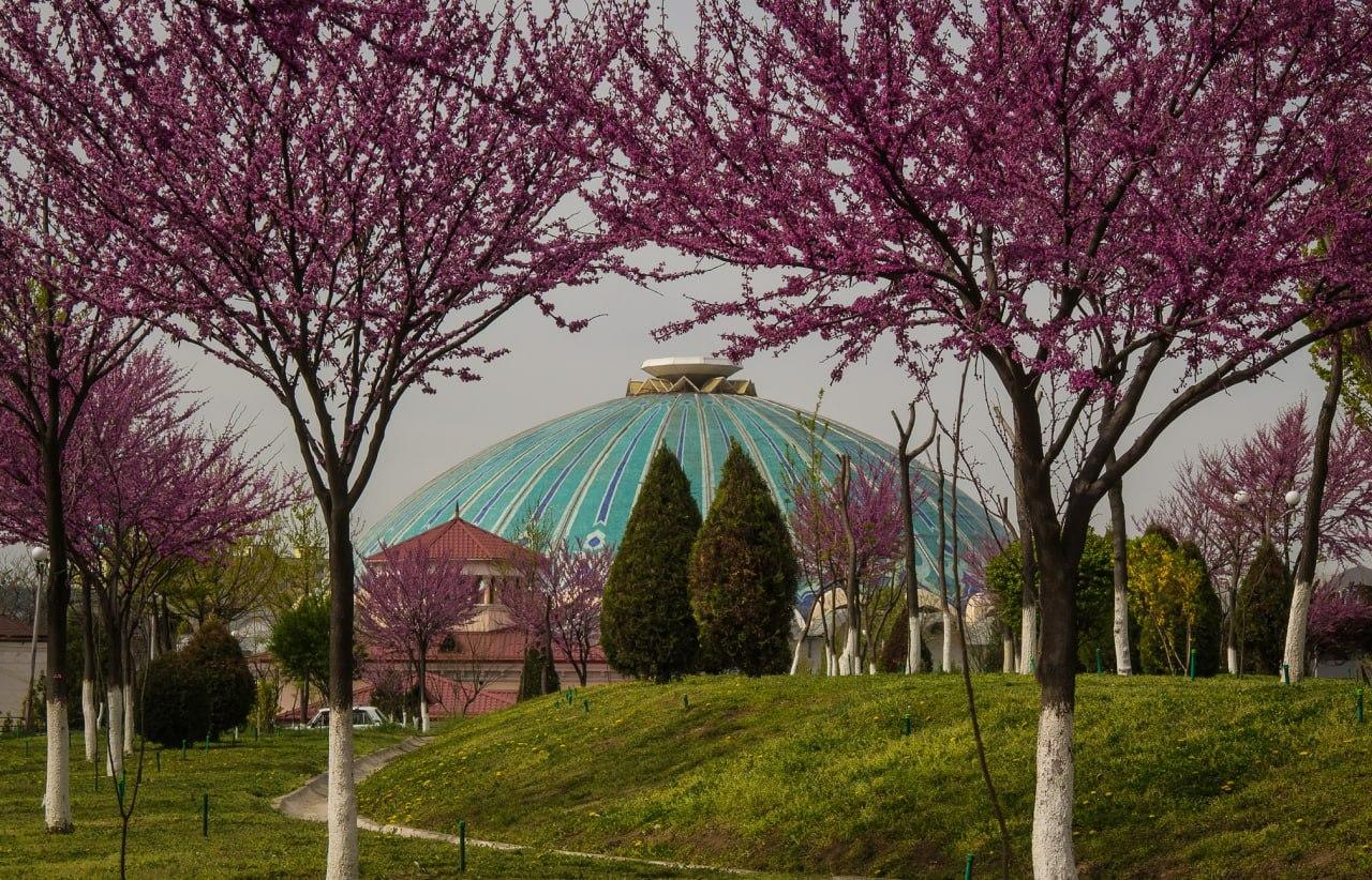 Tashkent: Guided City Tour with Private Transport 3