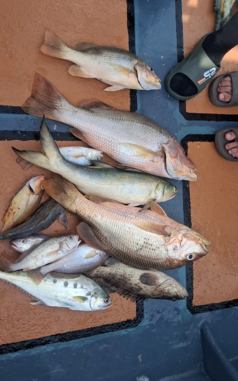 Langkawi Day or Night Fishing Trip with Squid Jigging Option 3