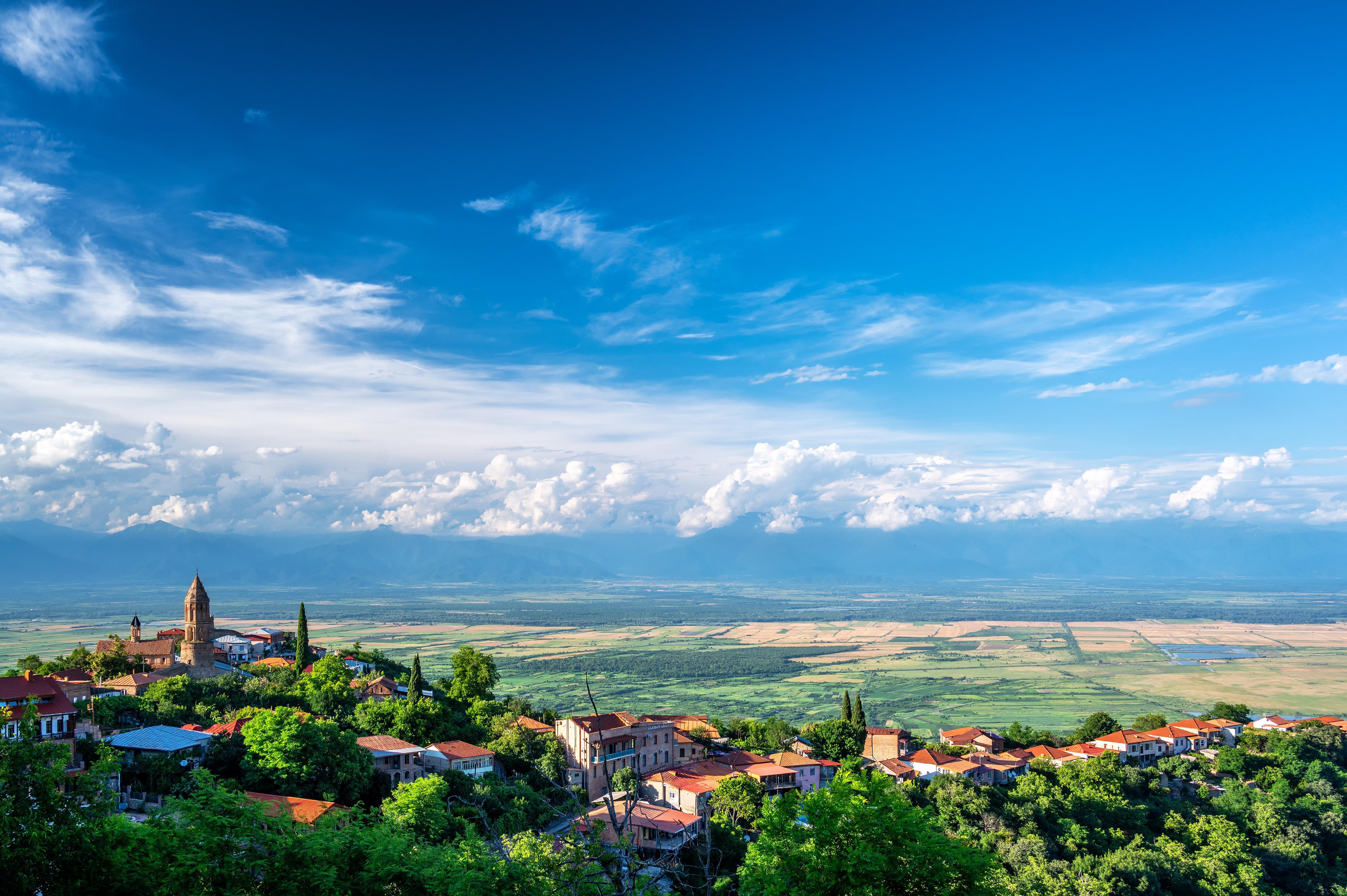 From Tbilisi: Kakheti Private Tour with Wine Tasting & Lunch 2