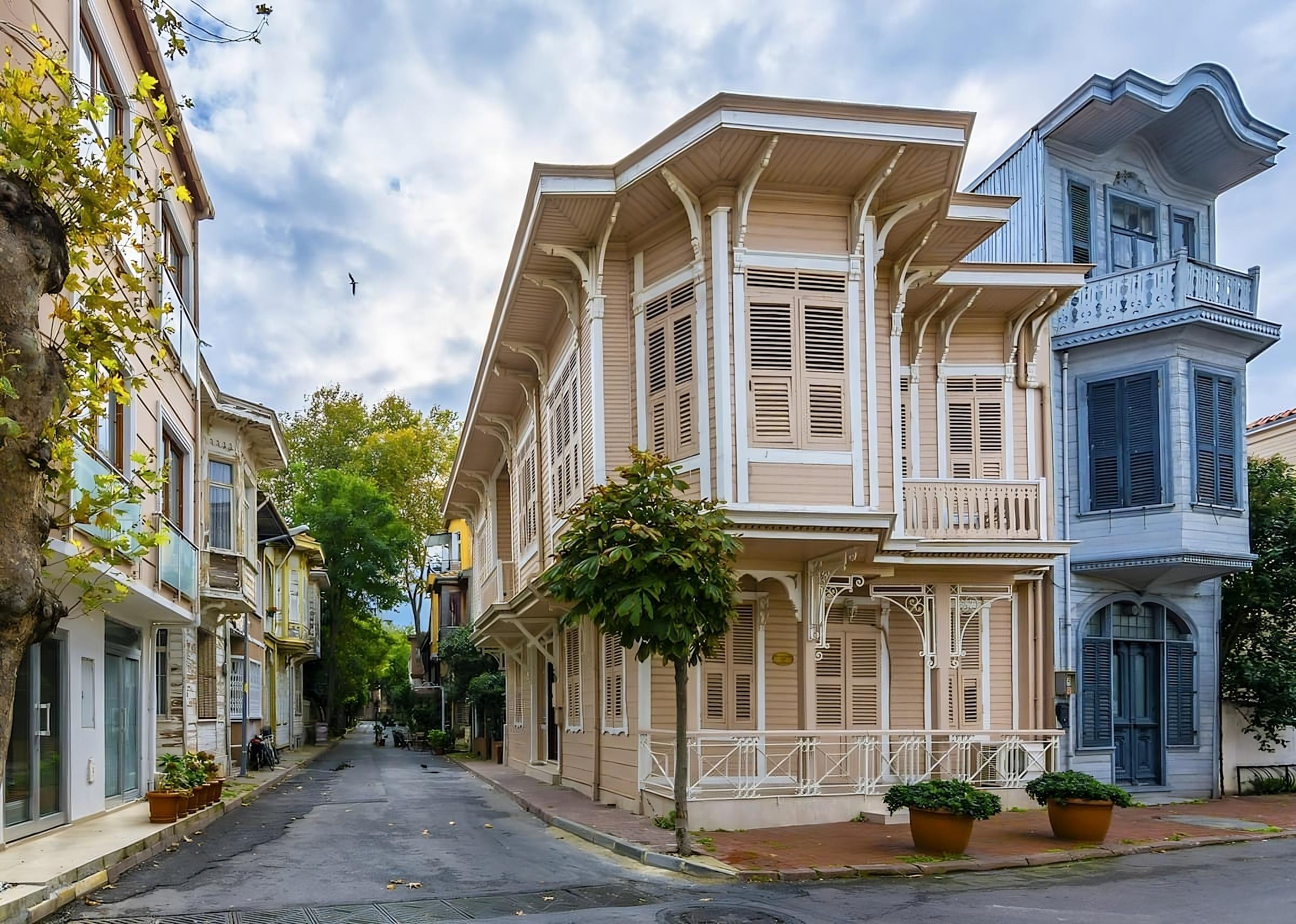 From Istanbul: Princess Islands Guided Day Trip by Ferry 3