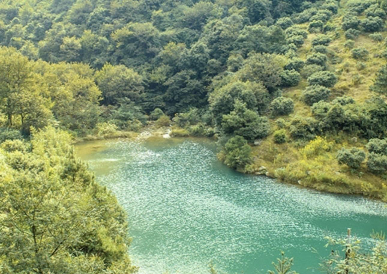 Shanghai: Yuyao Streams, Ming Trail & Bayberry Day Trip 3