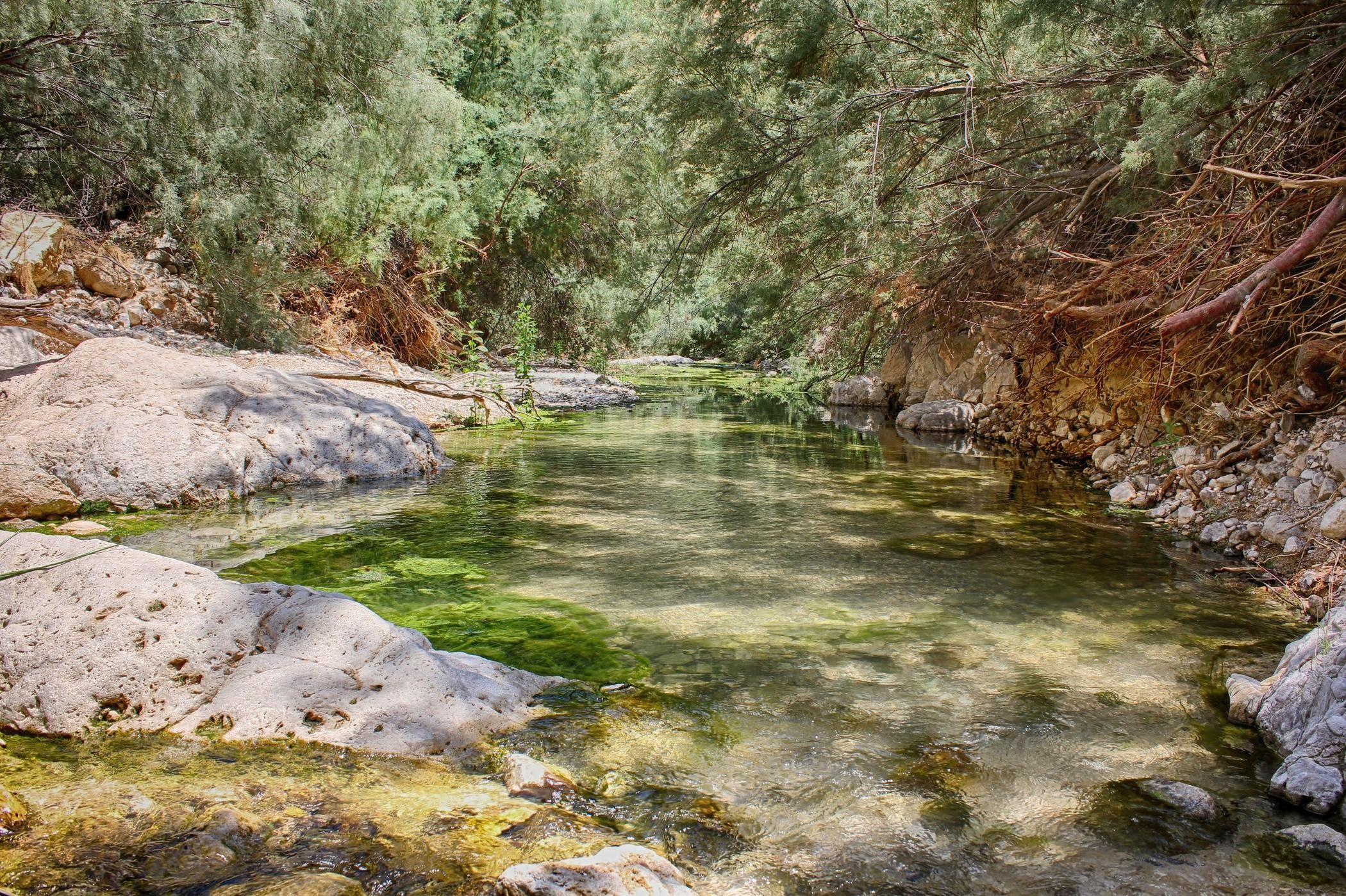 From Tel Aviv: Masada, Ein Gedi & Dead Sea Tour 3
