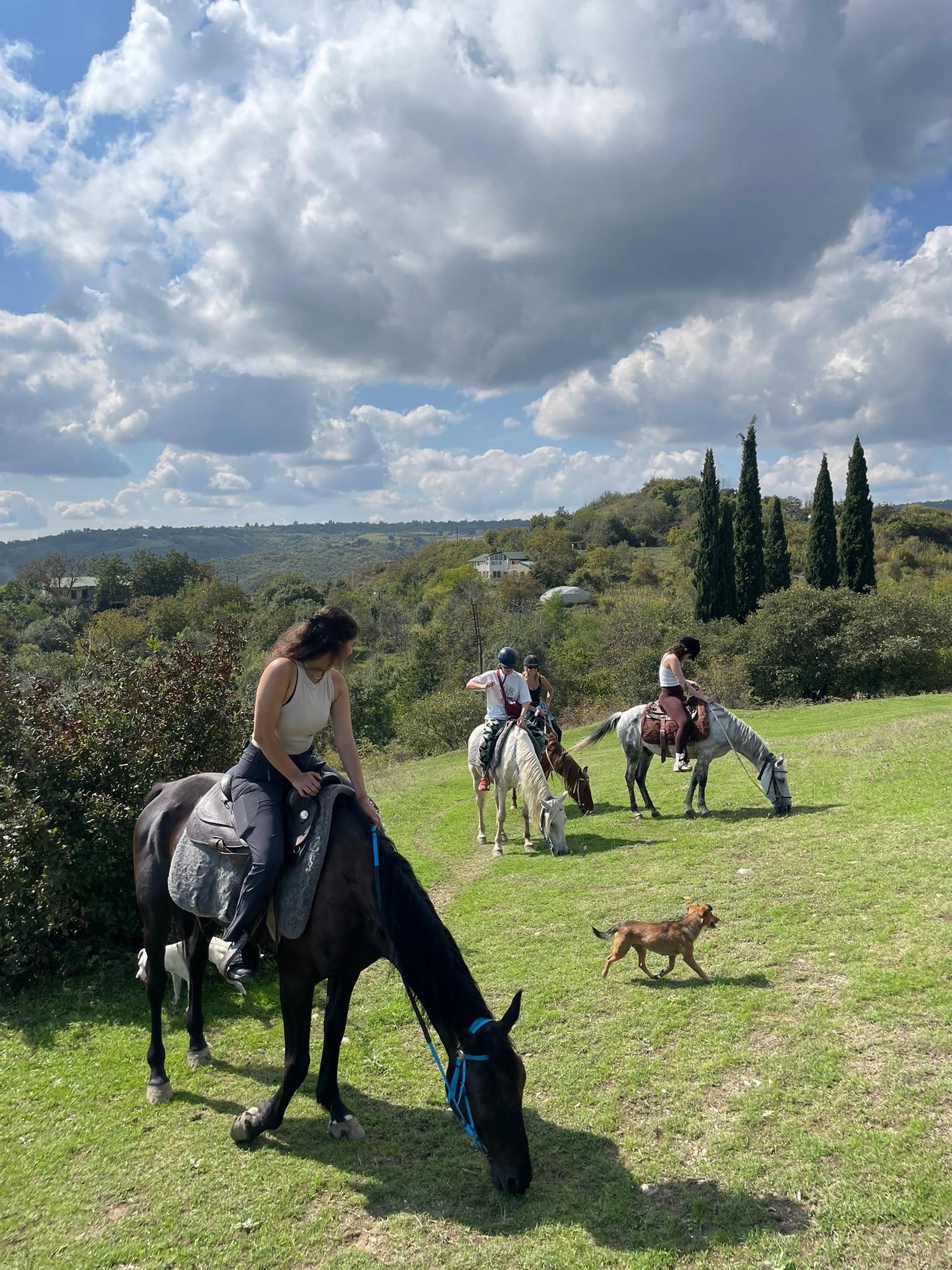 Tbilisi: Sabaduri Forest Horse Riding Tour with BBQ