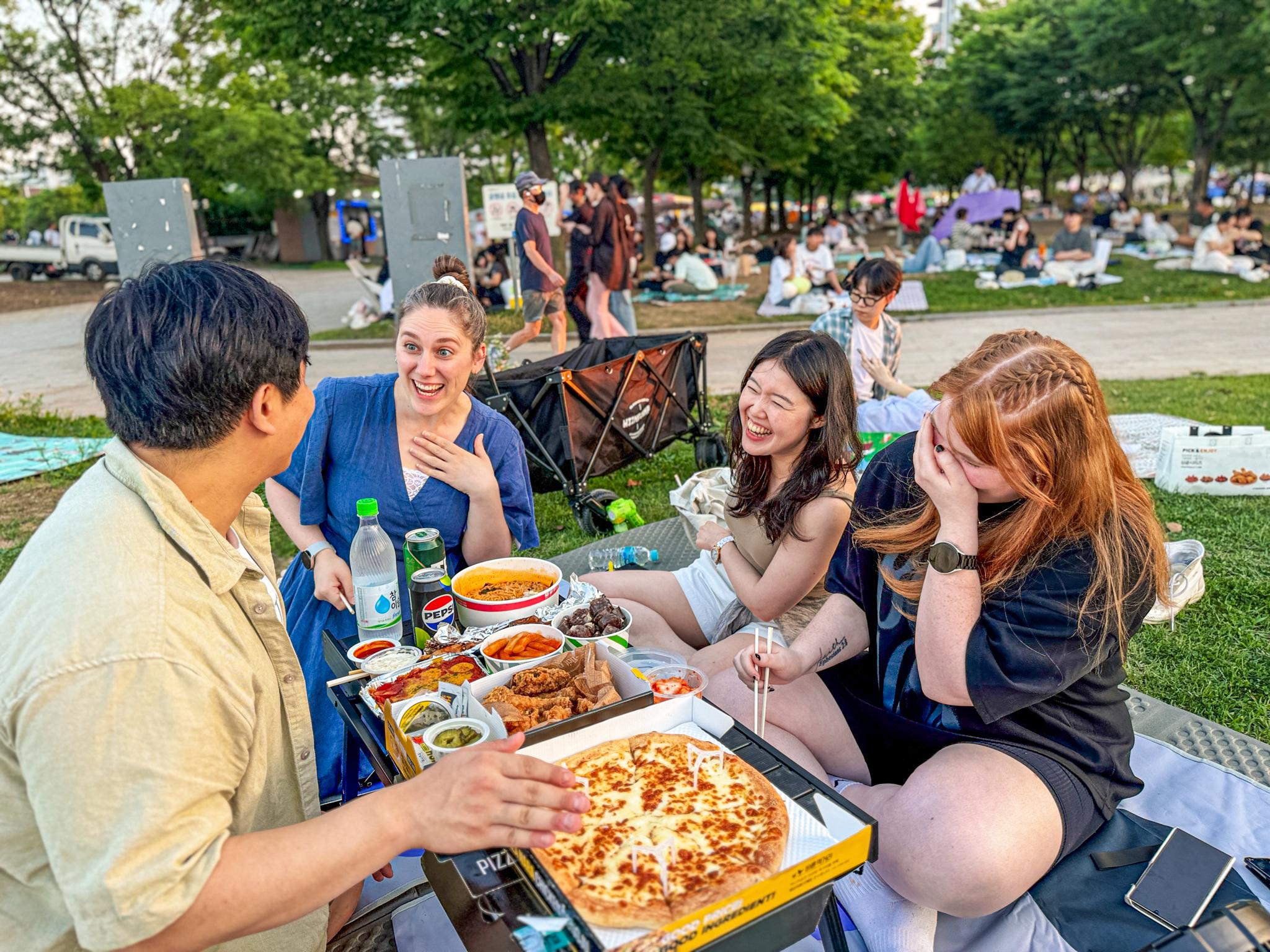Han's River Picnic in Center of Seoul