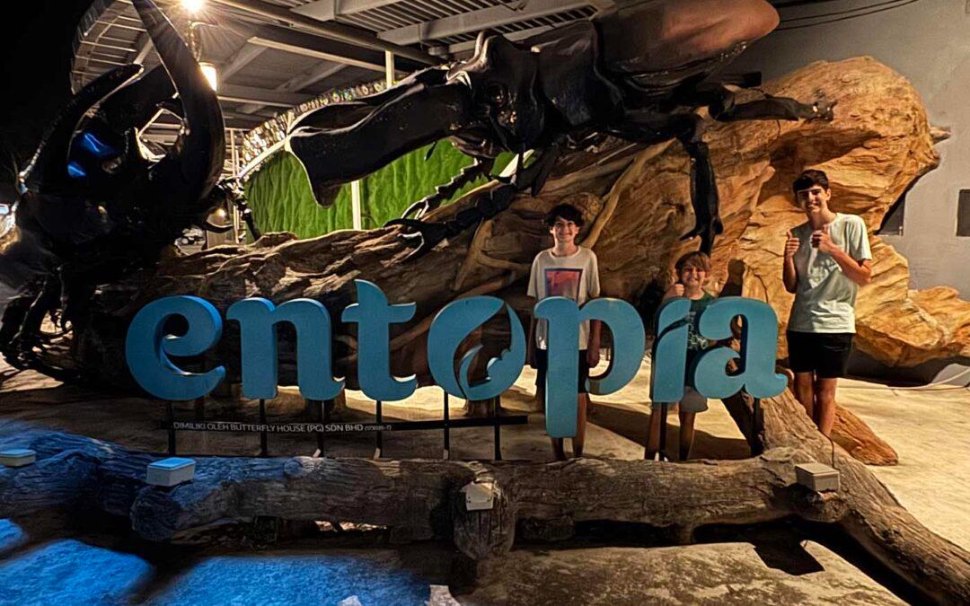 Entopia by Night Entry Ticket