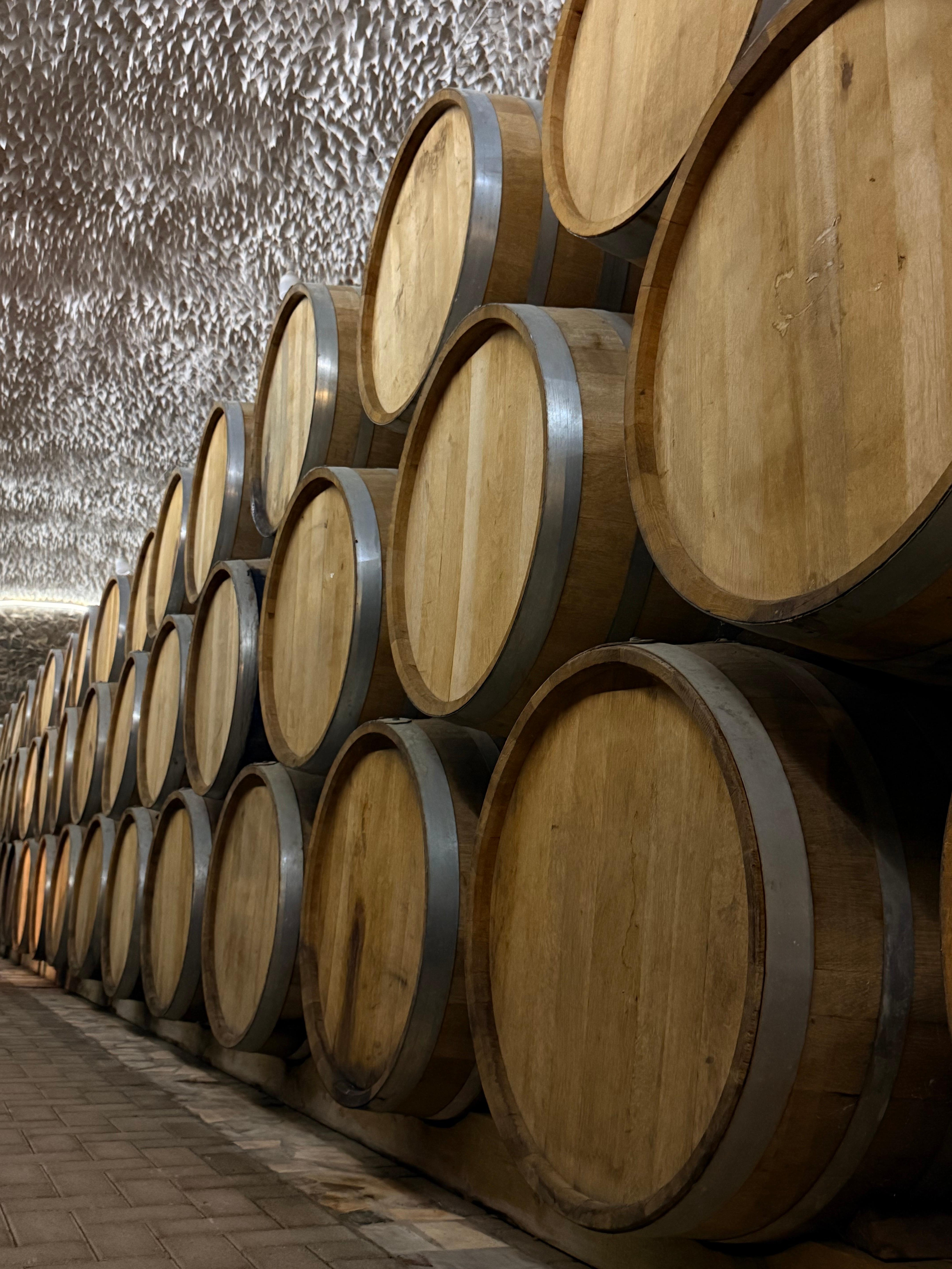 Samarkand: Bagizagan Winery Tour with Wine Tasting 3