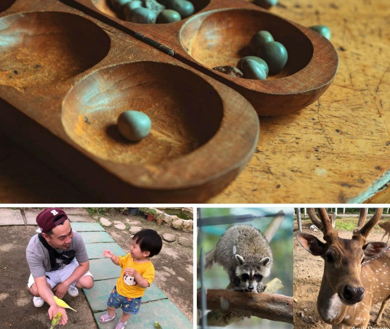Penang Village Fun: Congkak Game, Local Treat & Petting Zoo
