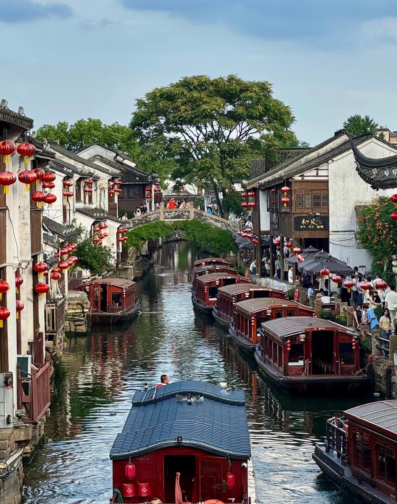Shanghai: Giant Pandas & Suzhou Day Trip by Bullet Train
