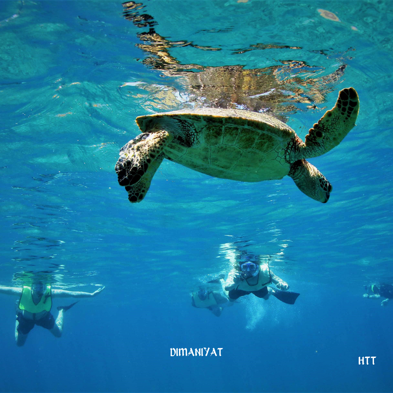 Muscat: Dimaniyat Island Snorkeling Trip with Hotel Transfer 3
