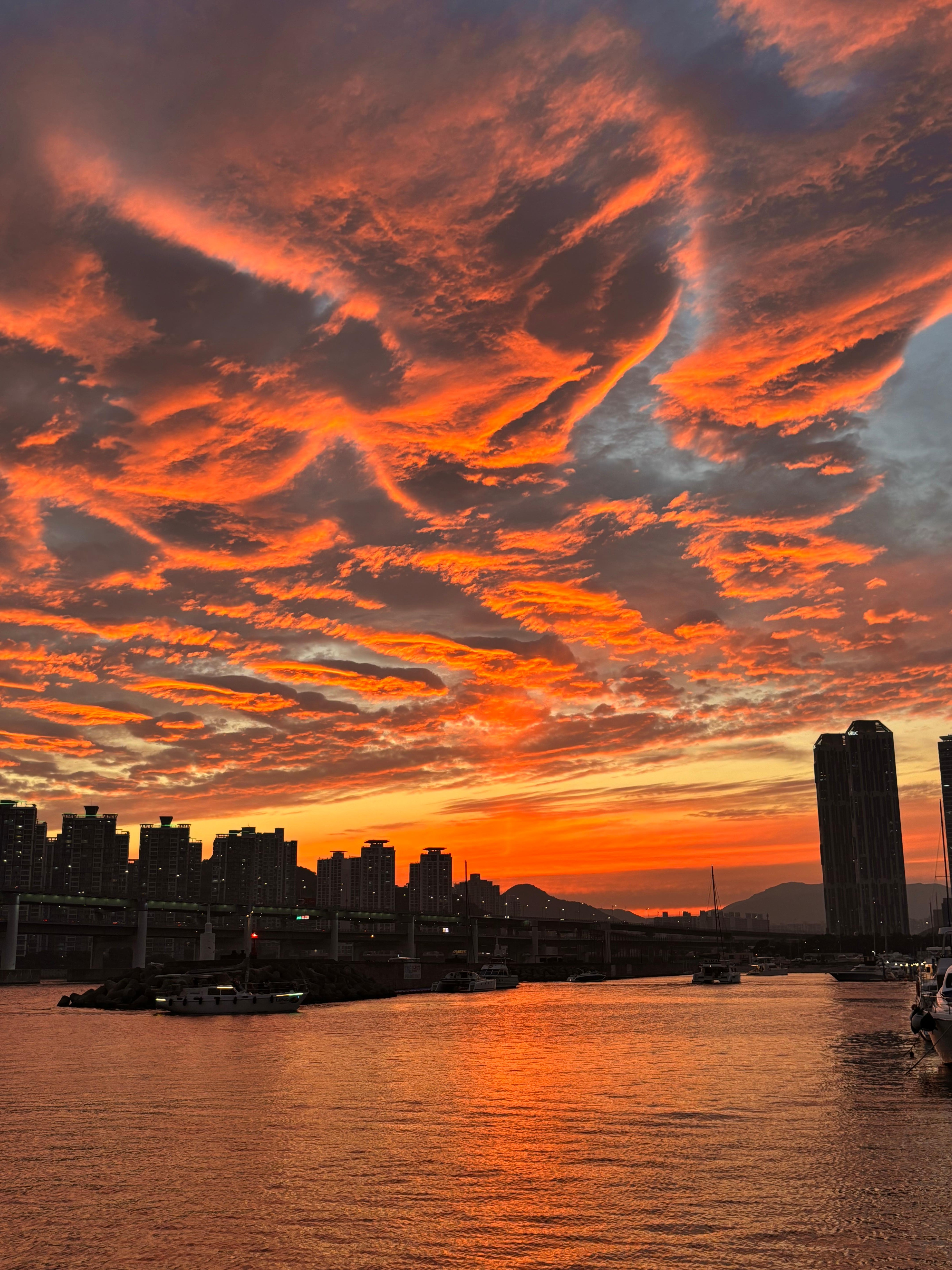 Busan: Group Sightseeing Yacht Cruise with Snacks and Drinks 3