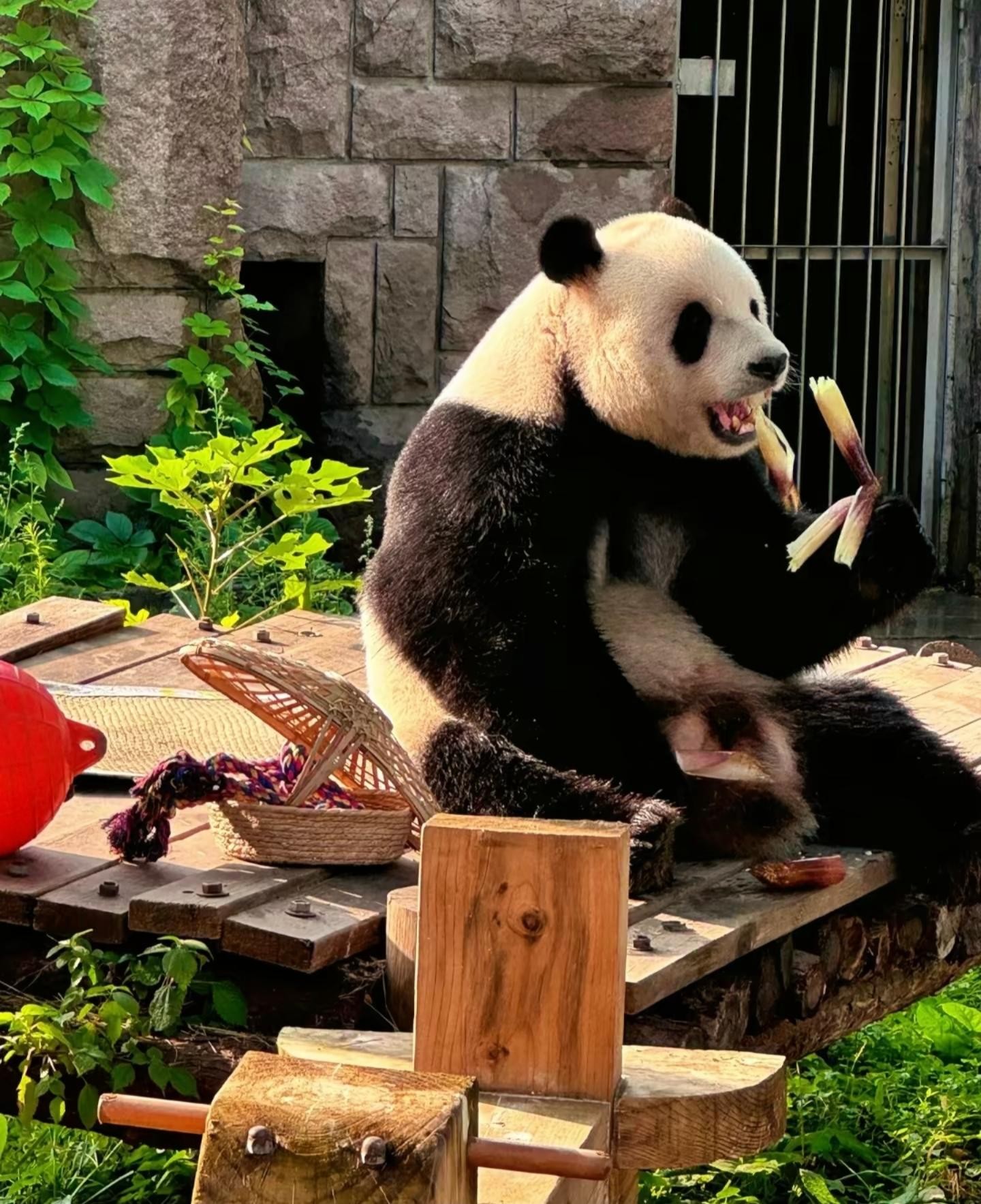 Temple of Heaven, Pandas, Summer Palace & Canal Cruise 3