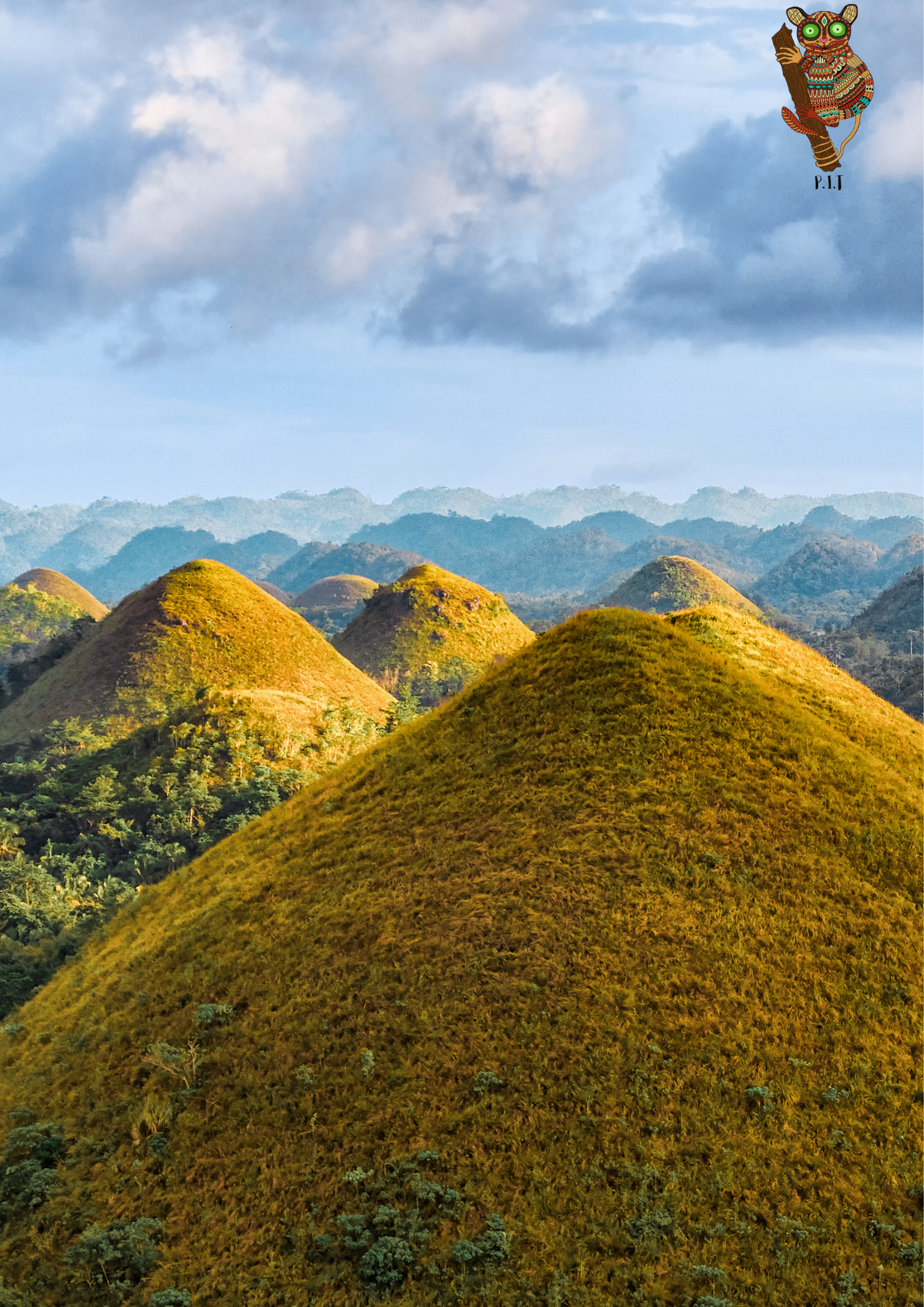 Bohol: Premium Chocolate Hills, Tarsiers & River Experience 3
