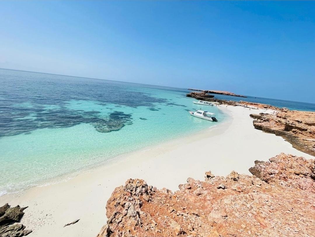 Muscat: Snorkeling at Oman's Daymaniyat Islands