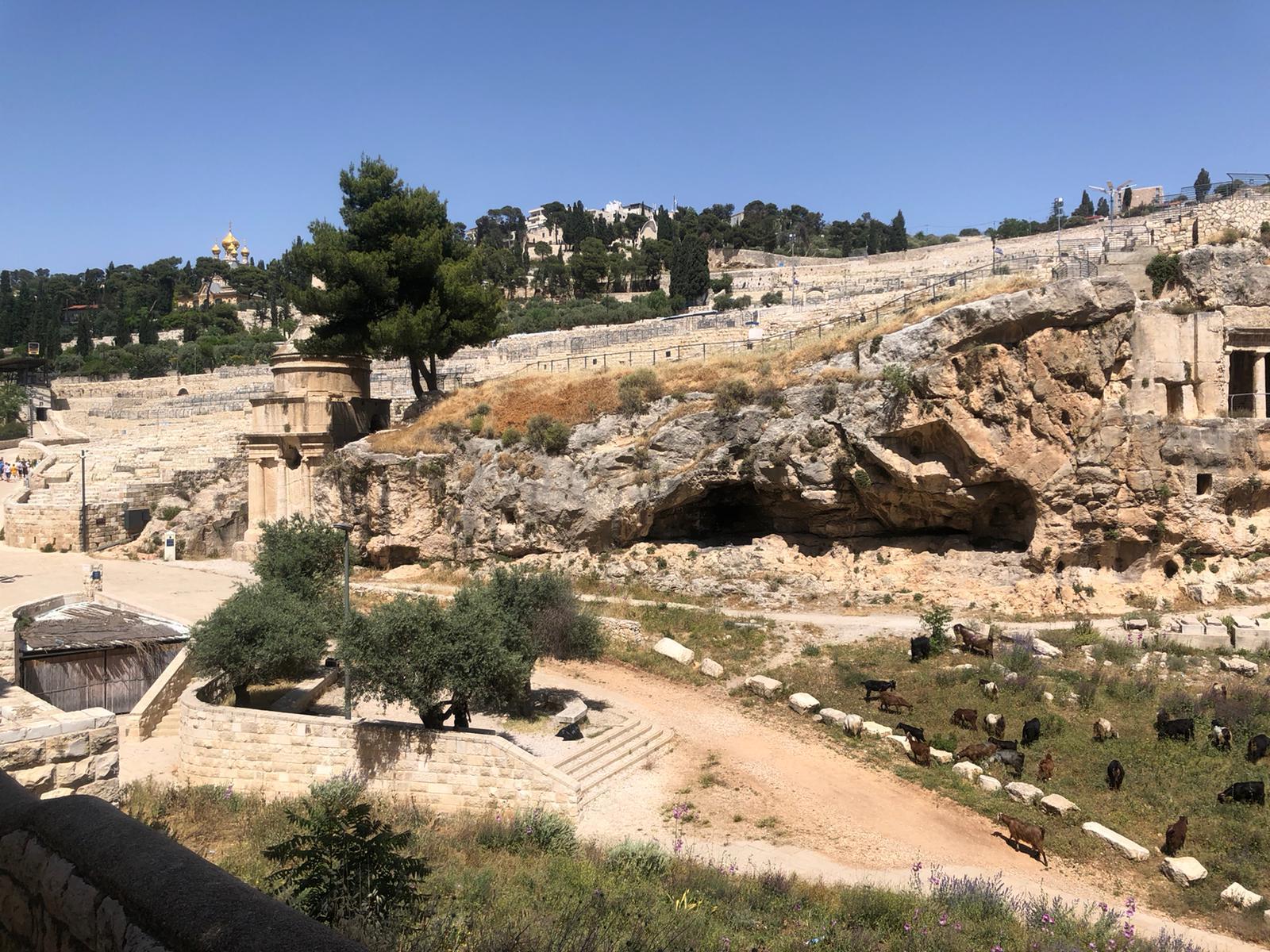 The Israel Museum and Ein Kerem Jerusalem Tour 3