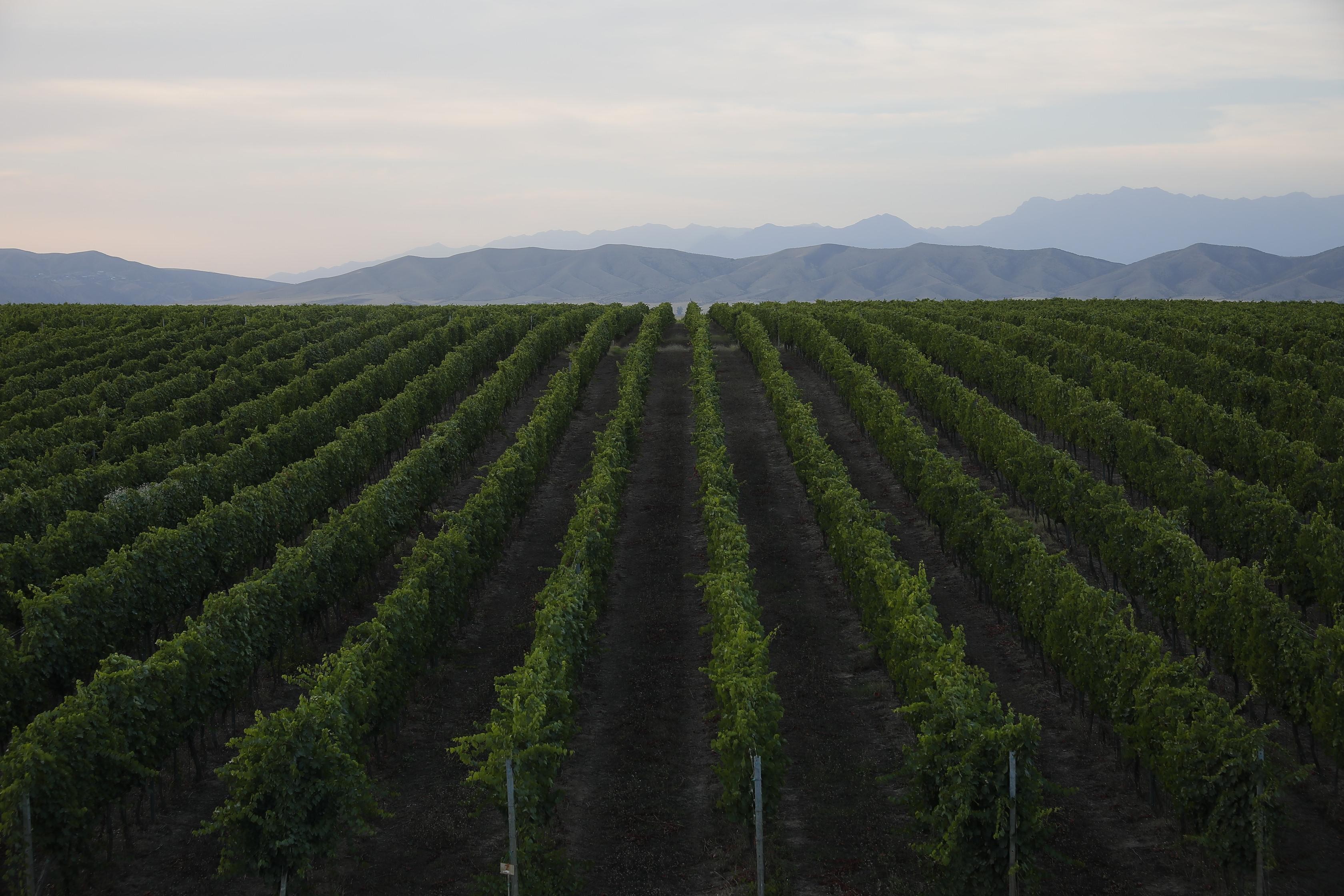 Southern charm of Azerbaijan