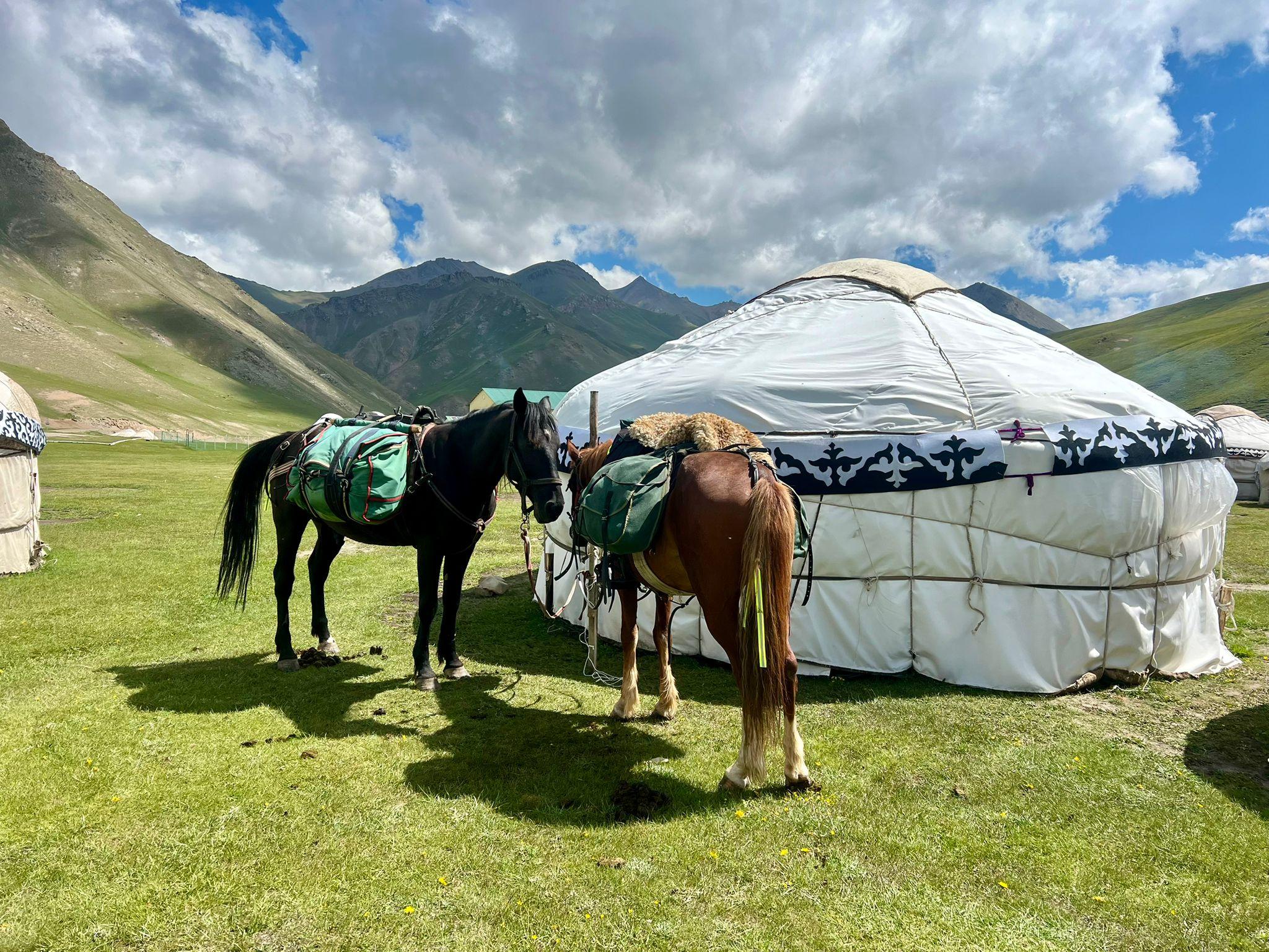 Tashkent: 4-Day Horseback Riding Tour with Meals
