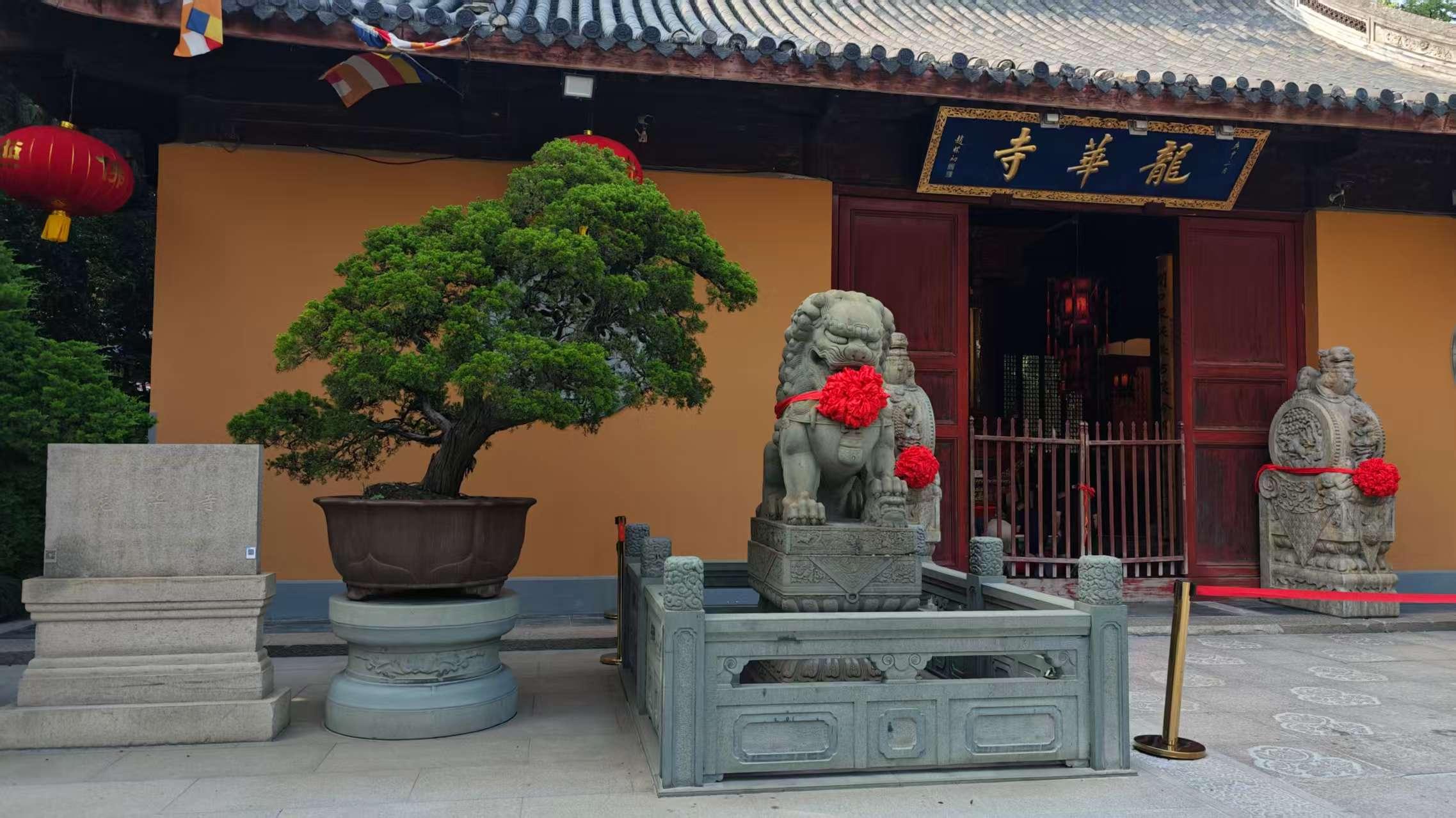 Shanghai: 4-Hour Private Customizable Highlights Tour 3