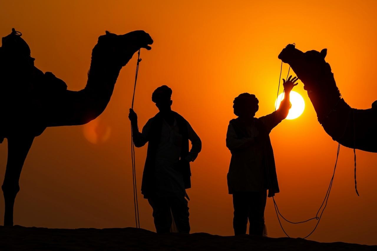 From Jaipur: Temple Town Pushkar Day Trip with Camel Safari 2