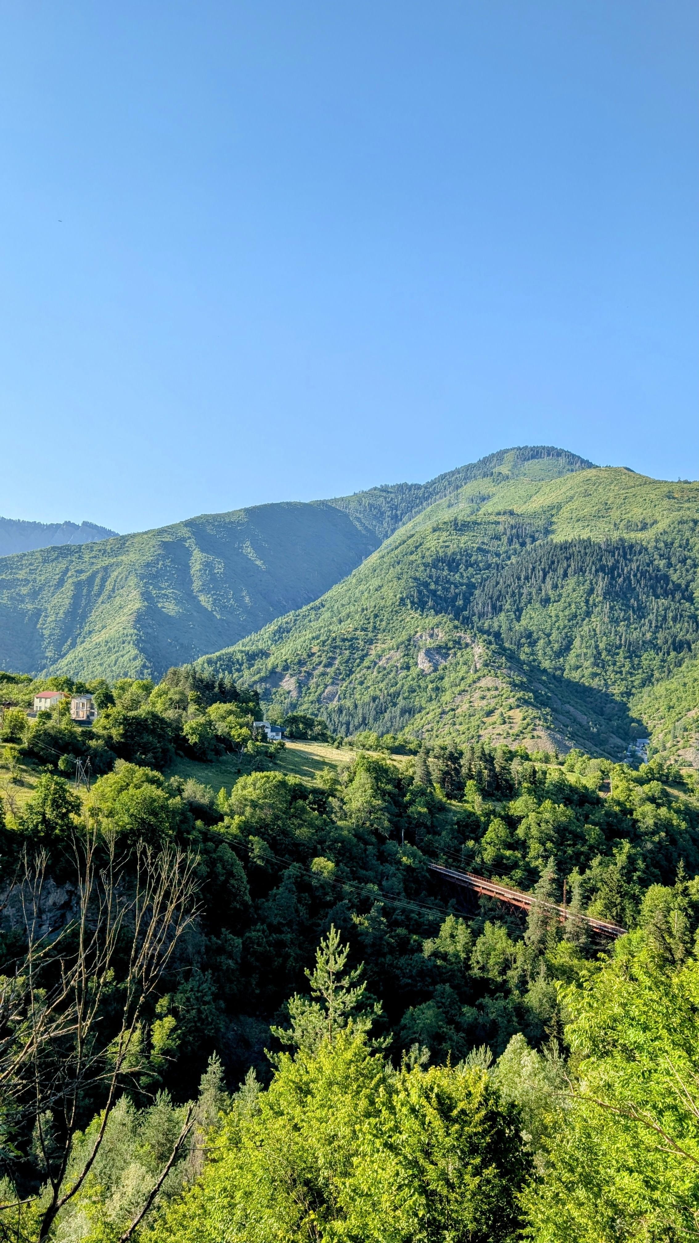 From Tbilisi: Bakuriani 1-Day Eco Tour by Electric Car 2
