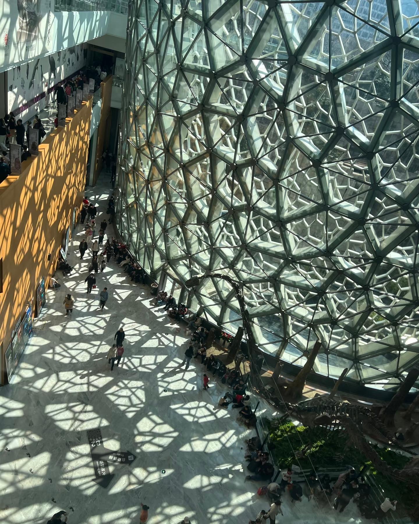Shanghai: Natural Museum & Alleys Guided Tour w/ Transfer