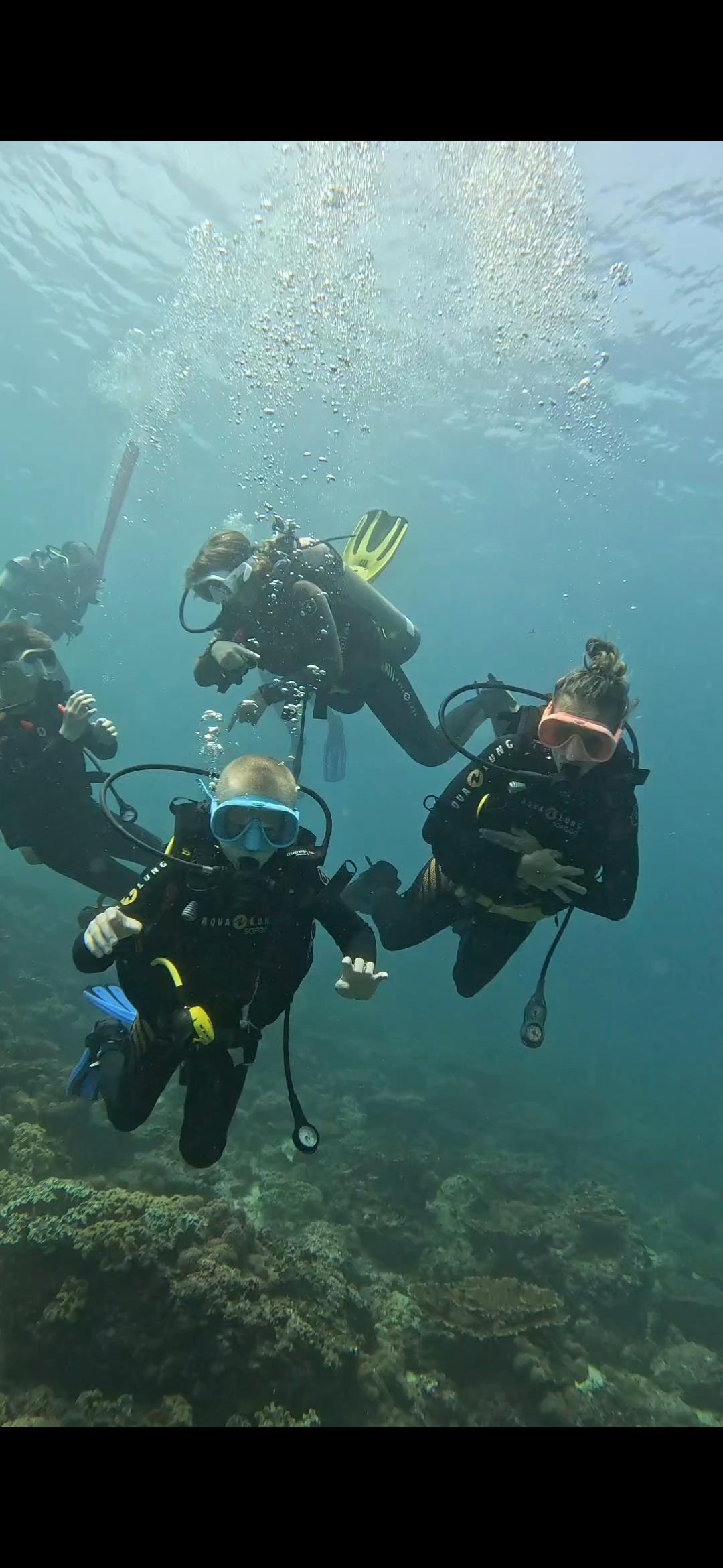 Scuba Diving in Muscat 2