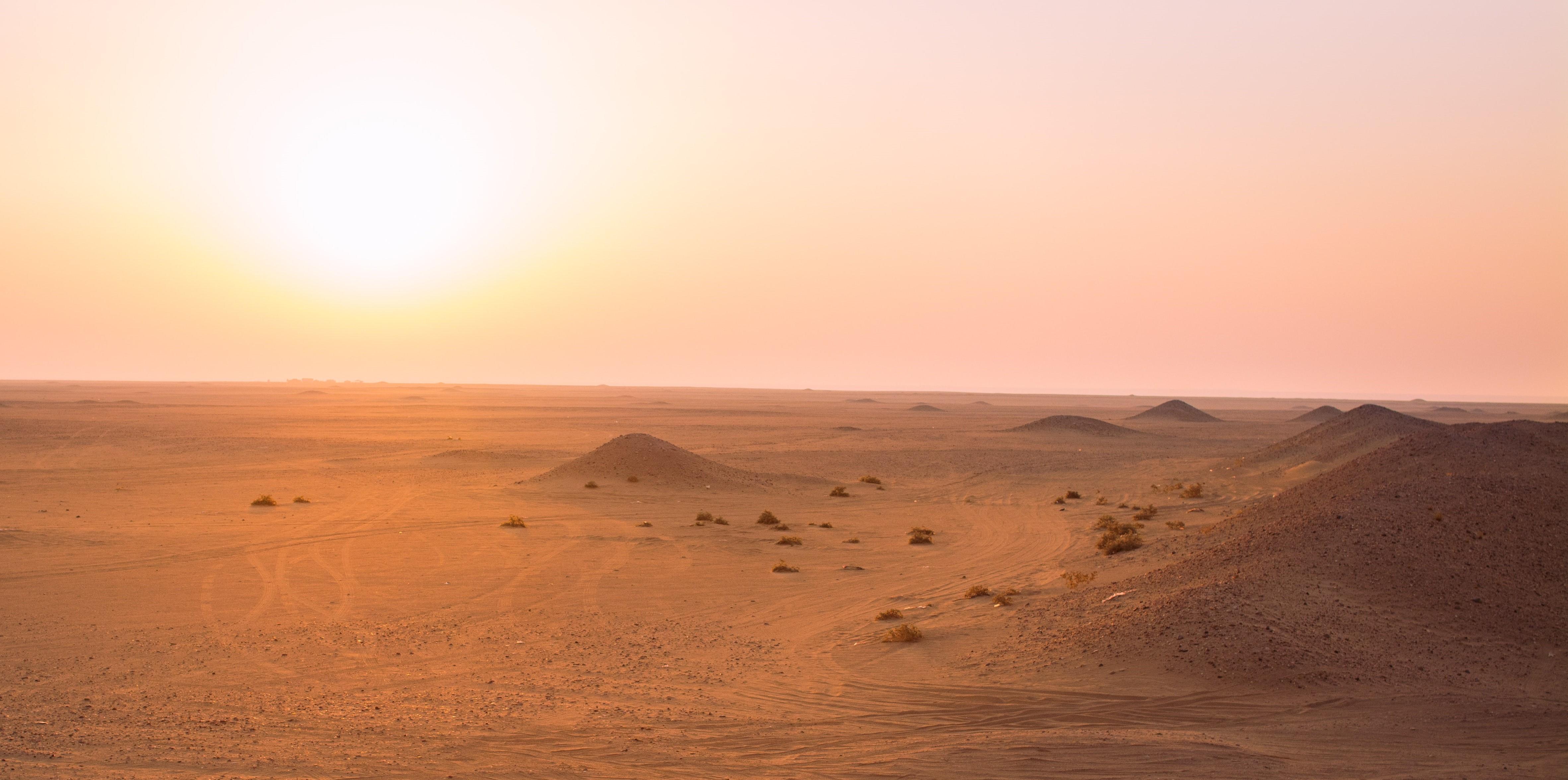 Half Day licensed Tours in Kuwait City & Desert Pick&DropOff 3