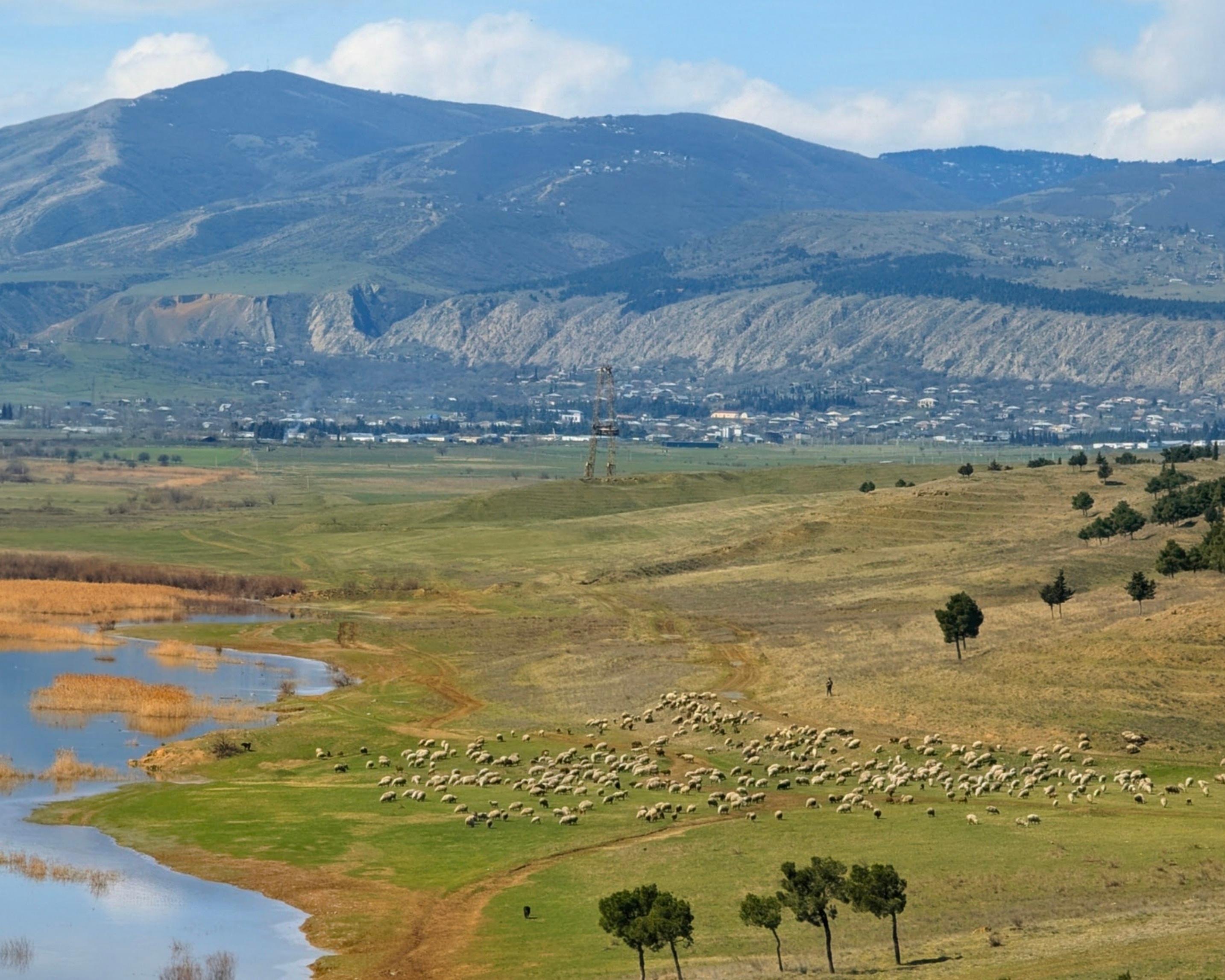 From Tbilisi: Rainbow Mountains & Lakes 4x4 Wildlife Tour 3
