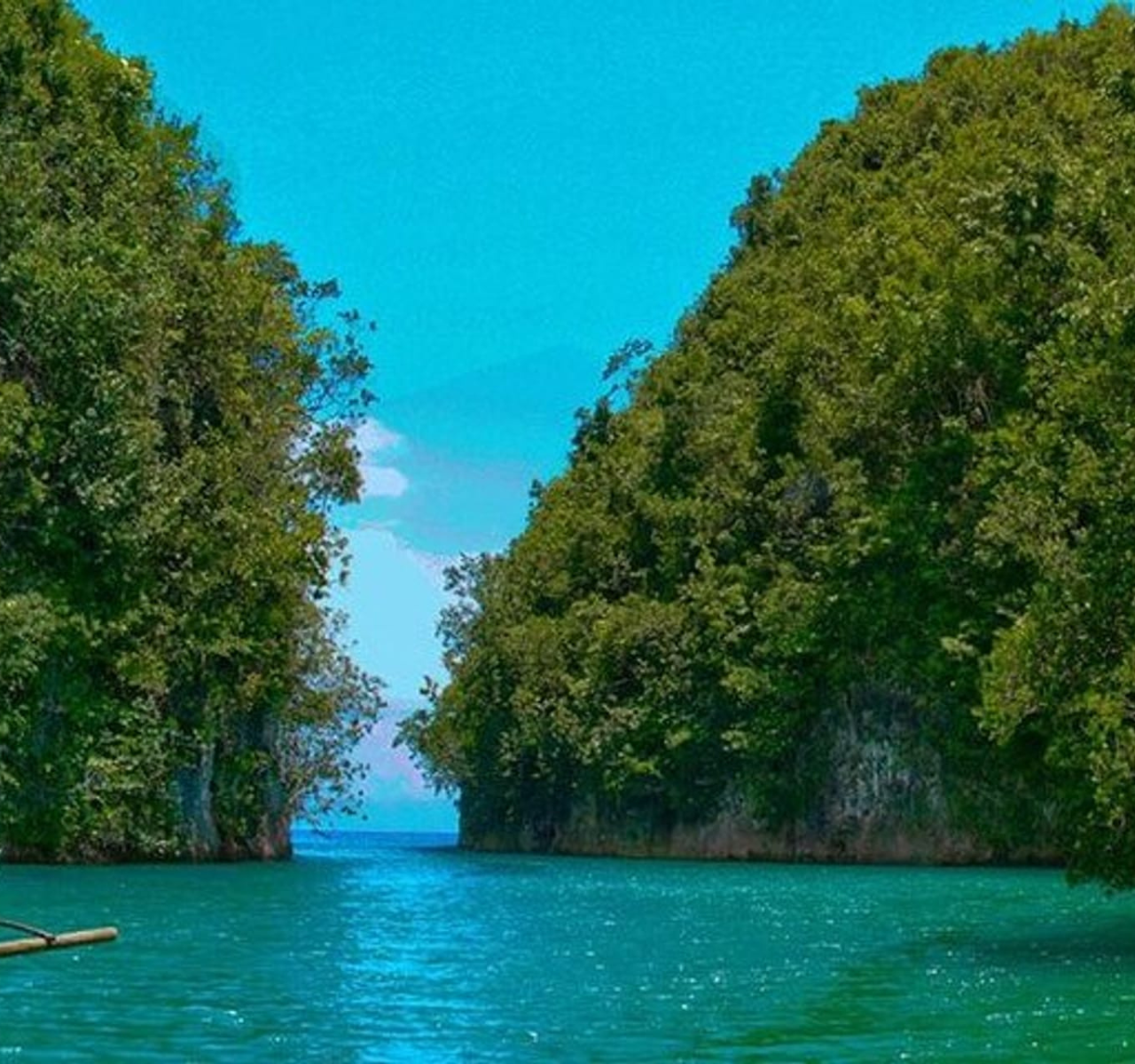 Hermit’s Cove & Bojo River Eco Tour 3