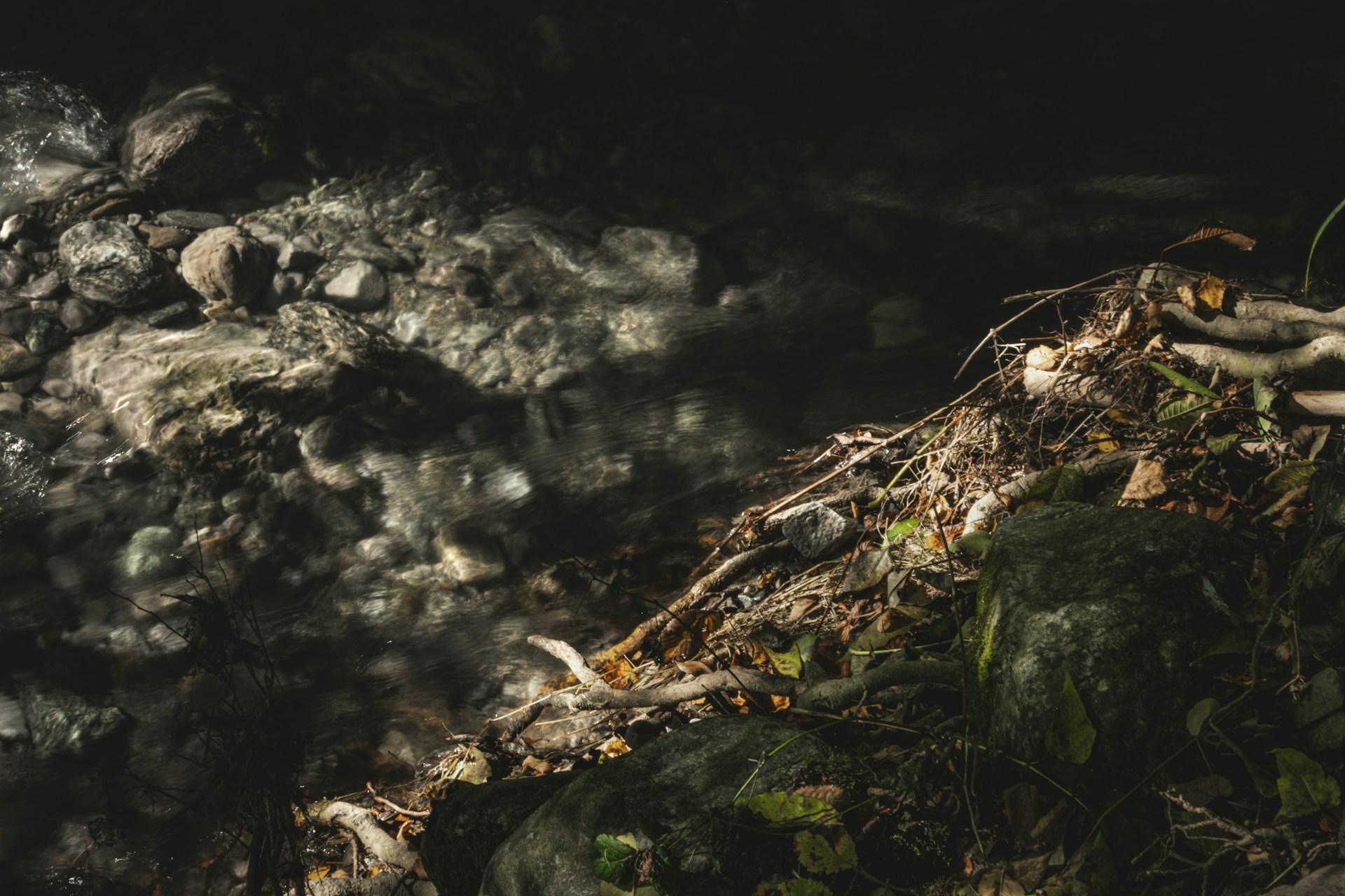 Shanghai: Anji Bamboo Stream & Clear Pools Private Day Trip 2
