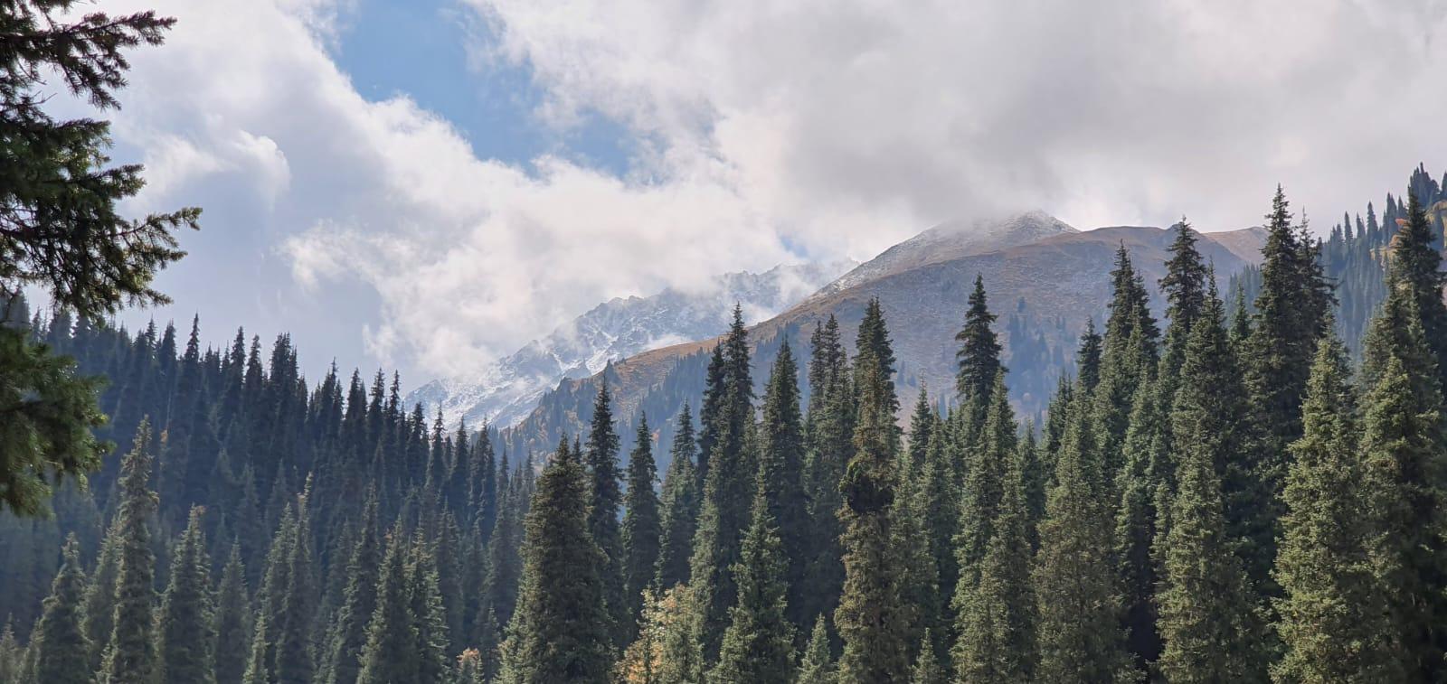 Almaty: Private Mountain Tour with Guide 3