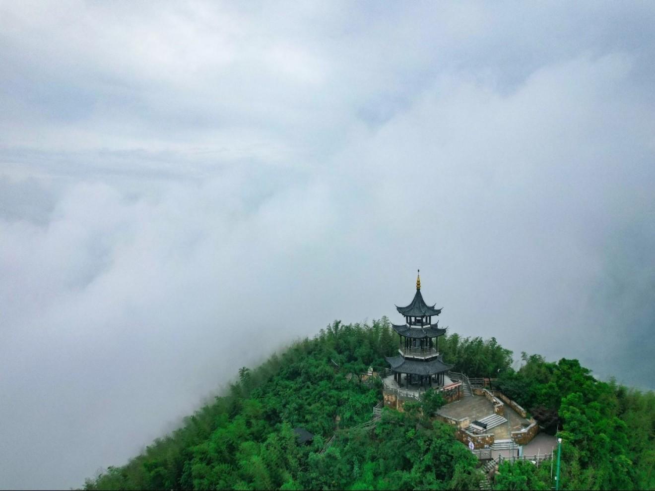 Shanghai: Yixing Bamboo Sea & Zisha Teapot Cultural Trip 3