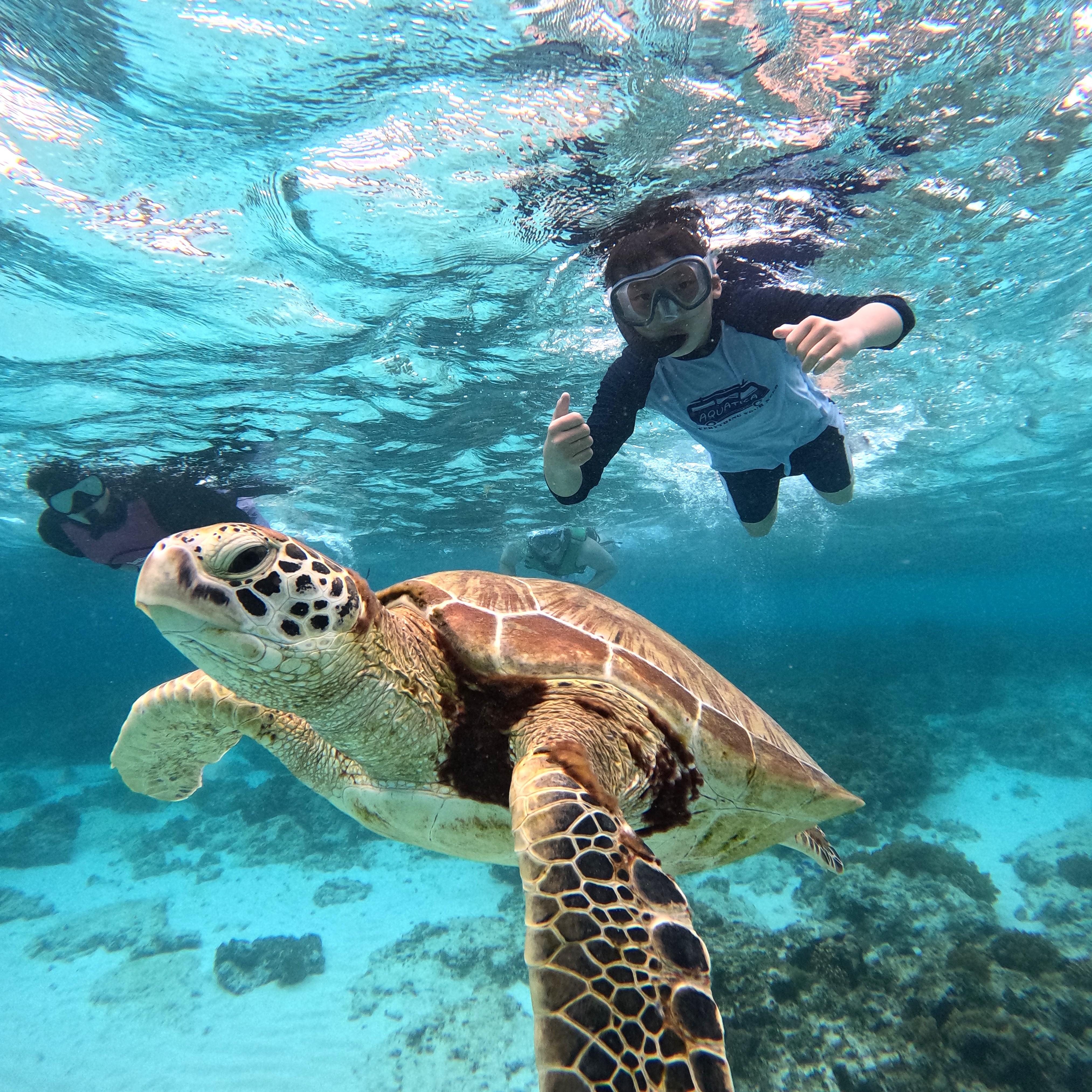 Bohol: Balicasag & Virgin Island Hopping Tour with Lunch 2