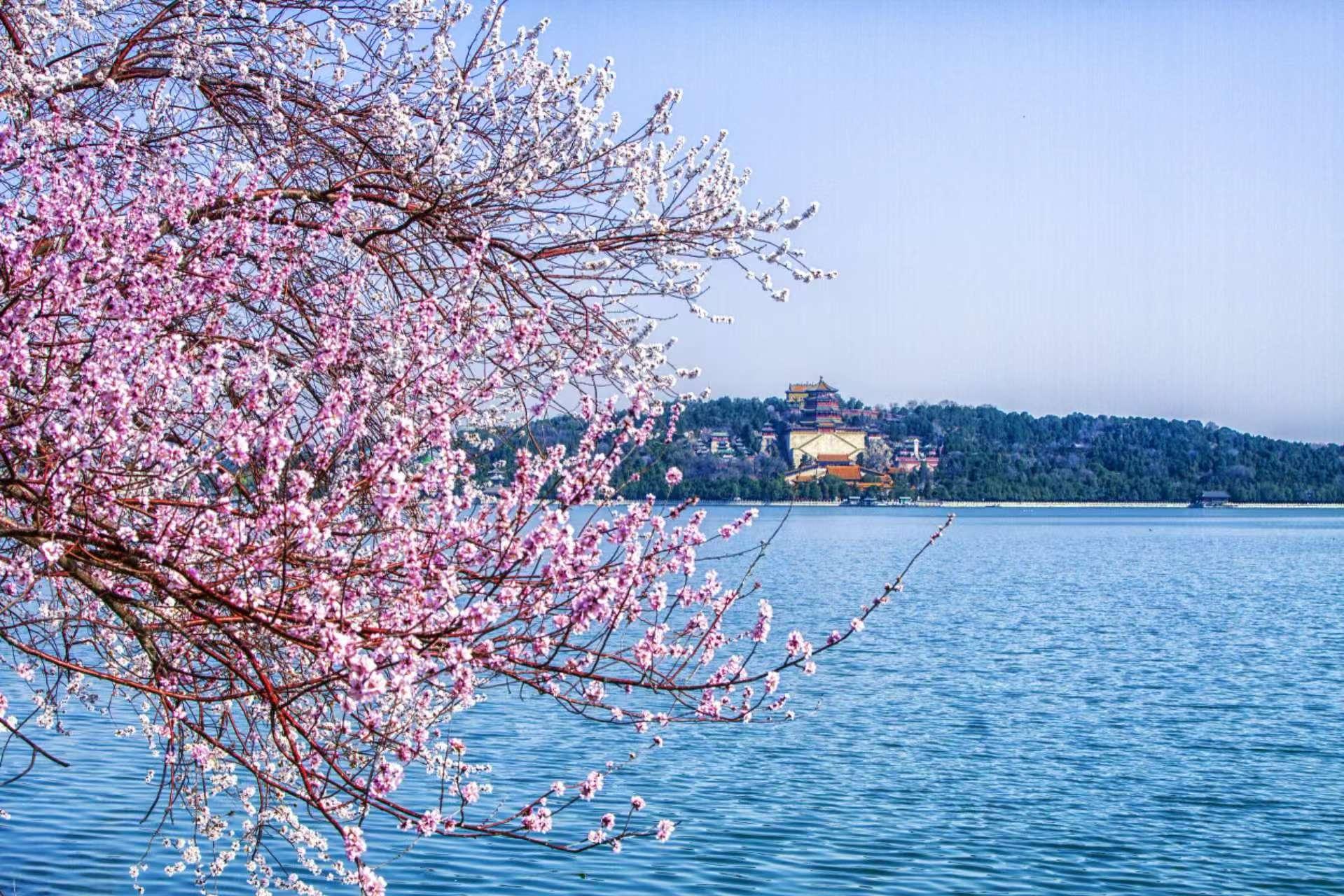 Beijing: Summer Palace, Temple of Heaven & Hutongs Tour