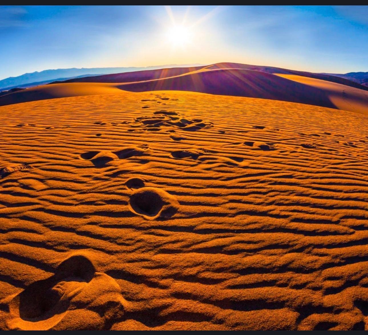 Doha: Sunrise Desert Safari with Sand boarding & inland sea 2