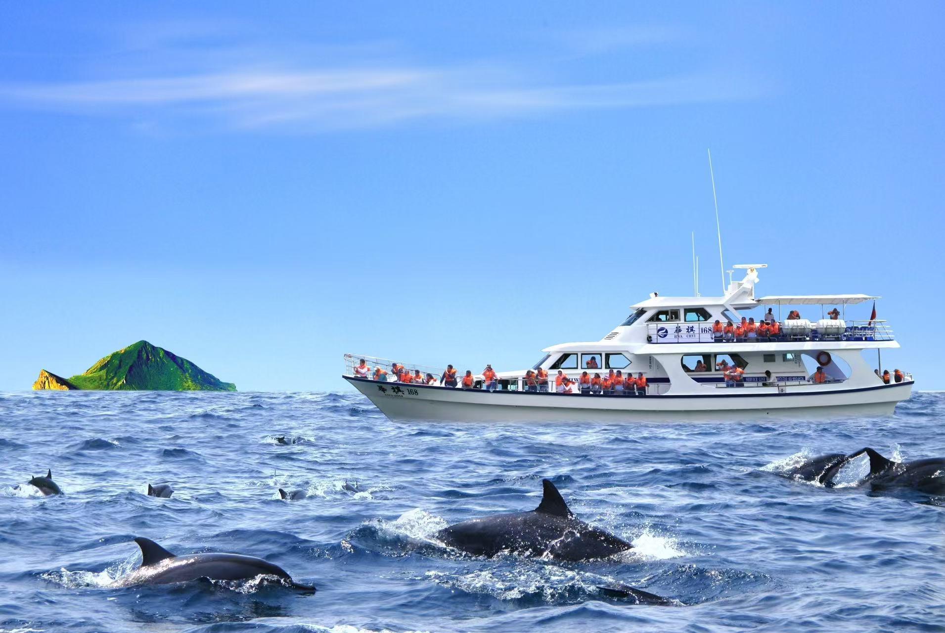 From Taipei to Yilan:Dolphins, Waves, and Whispering Trees 3