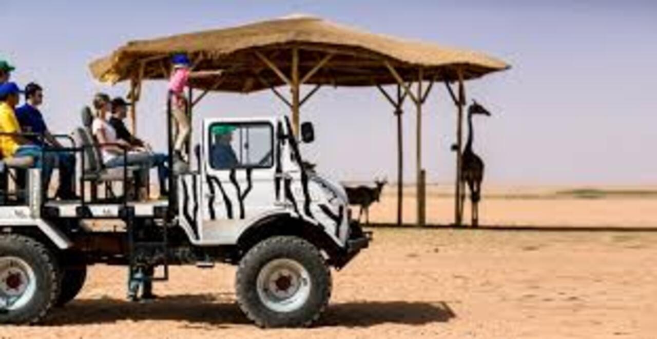 Riyadh: Nofa Wildlife Park Safari Private Tour 2