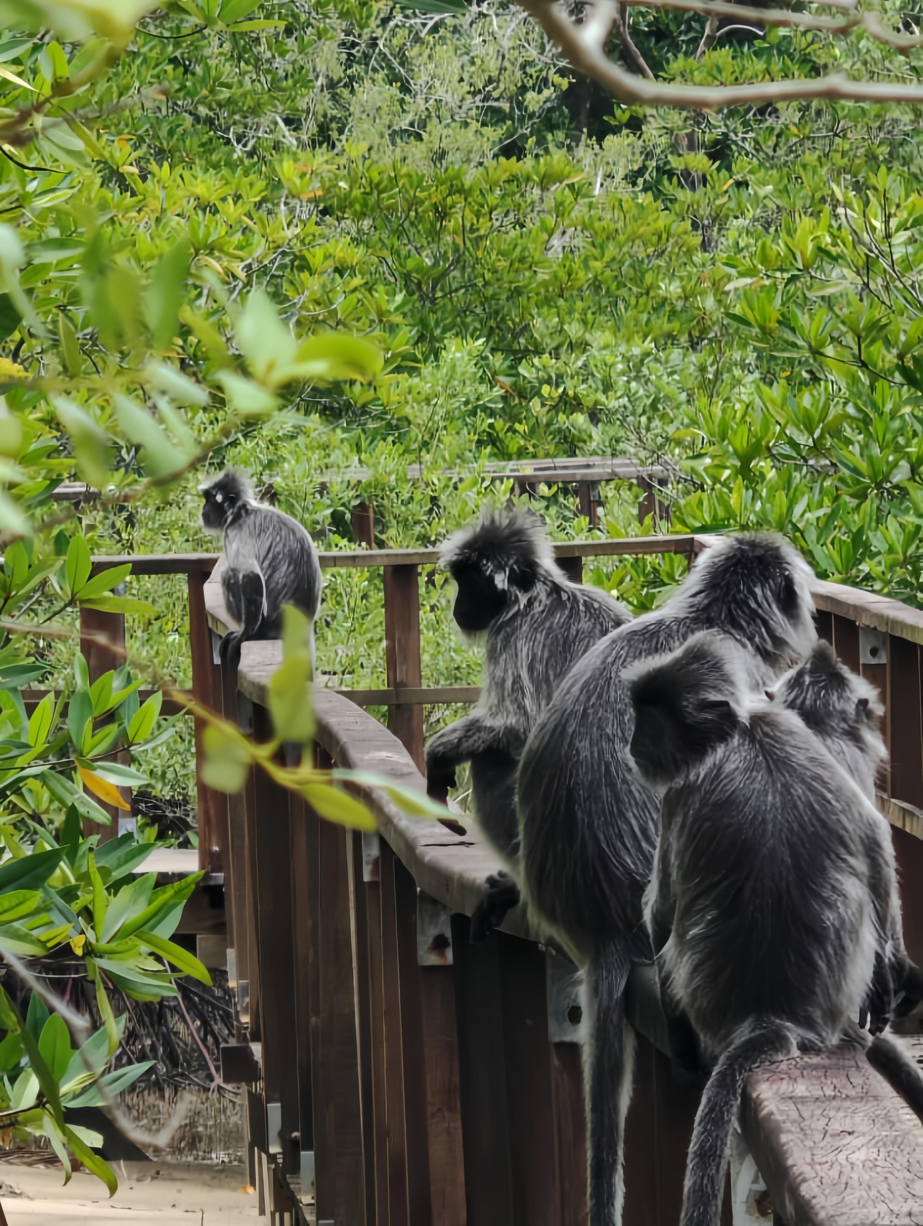 Kuching: 3-Day Adventure Tour 2