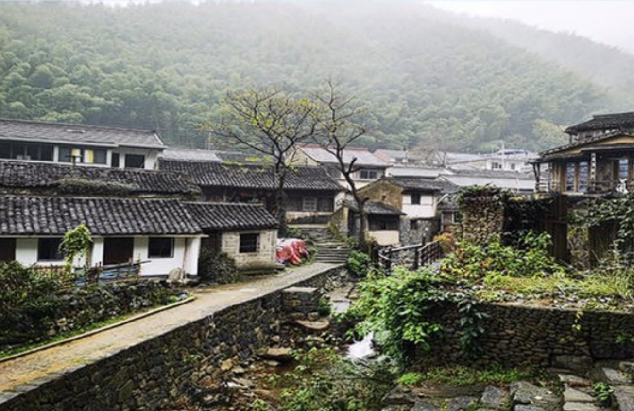 Shanghai: Ancient Village & Bamboo Trail Private Day Trip