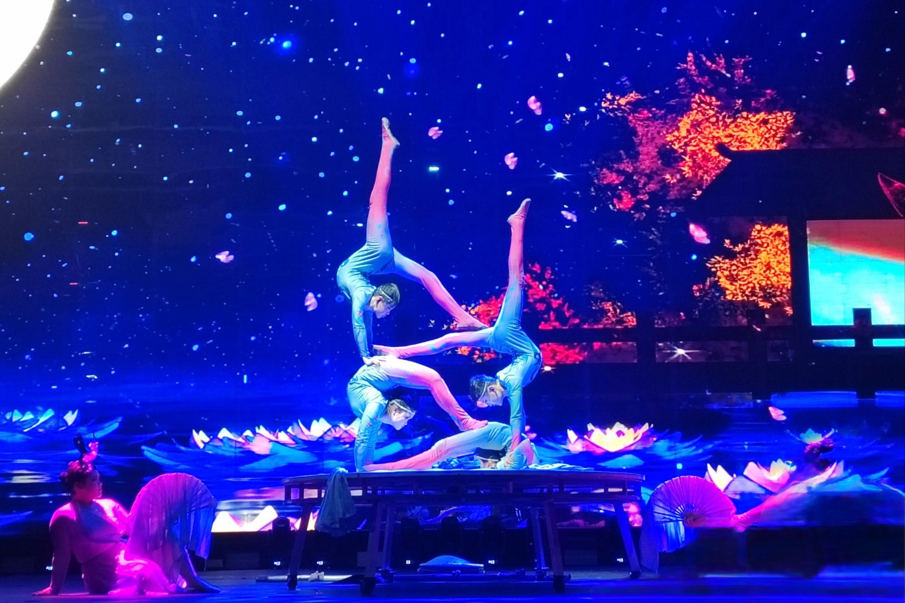 Beijing: Olympic-Level Qinlegong Acrobatic Show Ticket