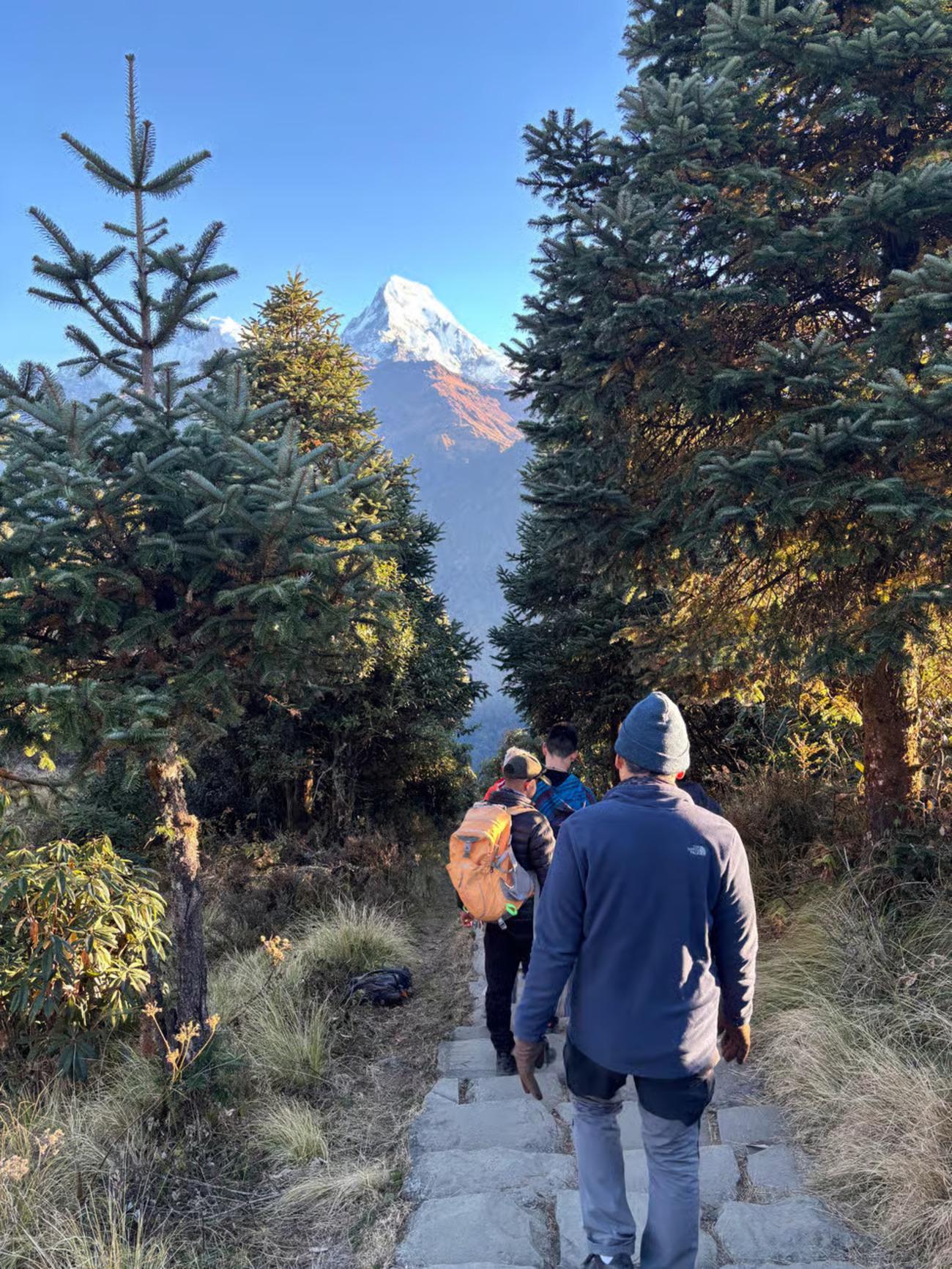 Pokhara: 3 days poonhill circuit Trek 2