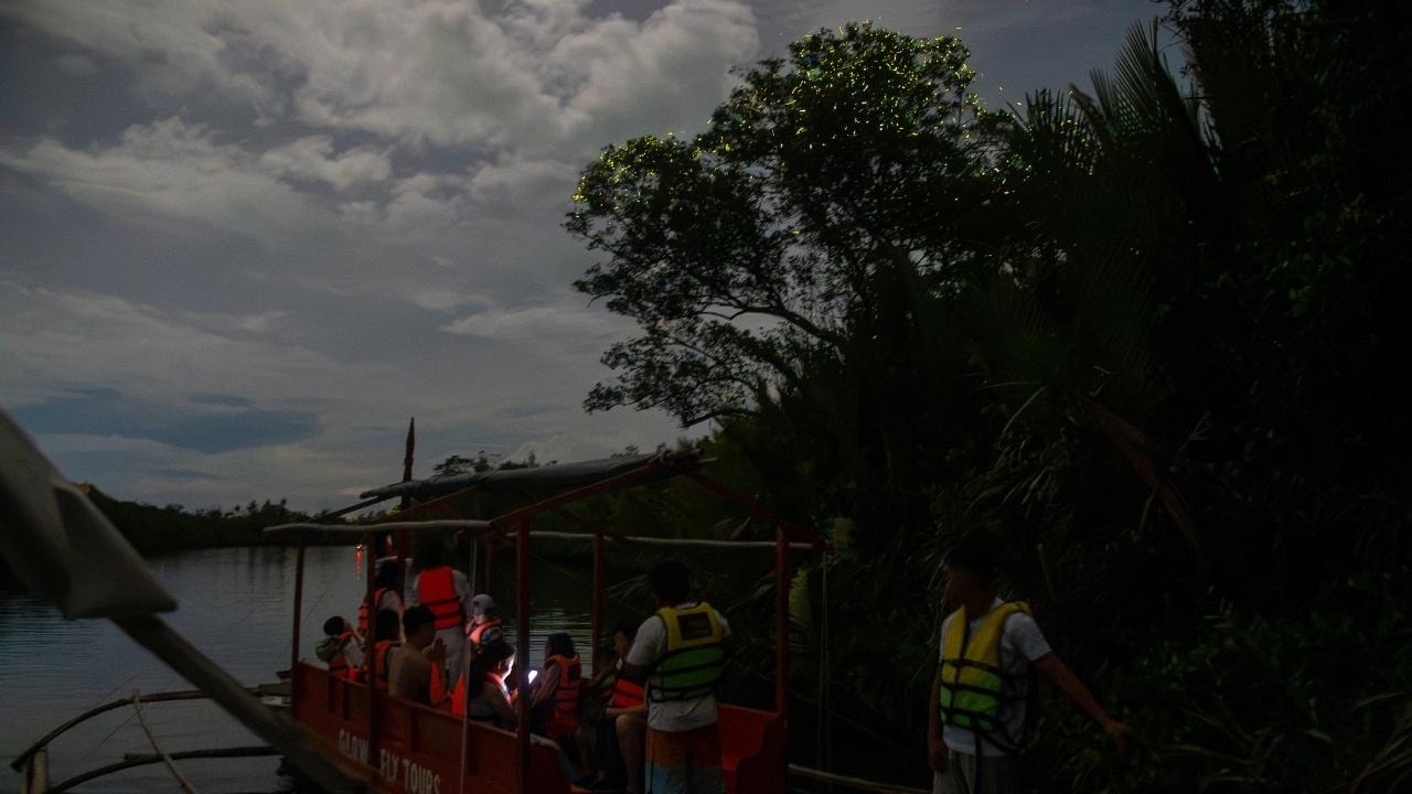 Bohol Firefly Watching: Loboc River Night Cruise