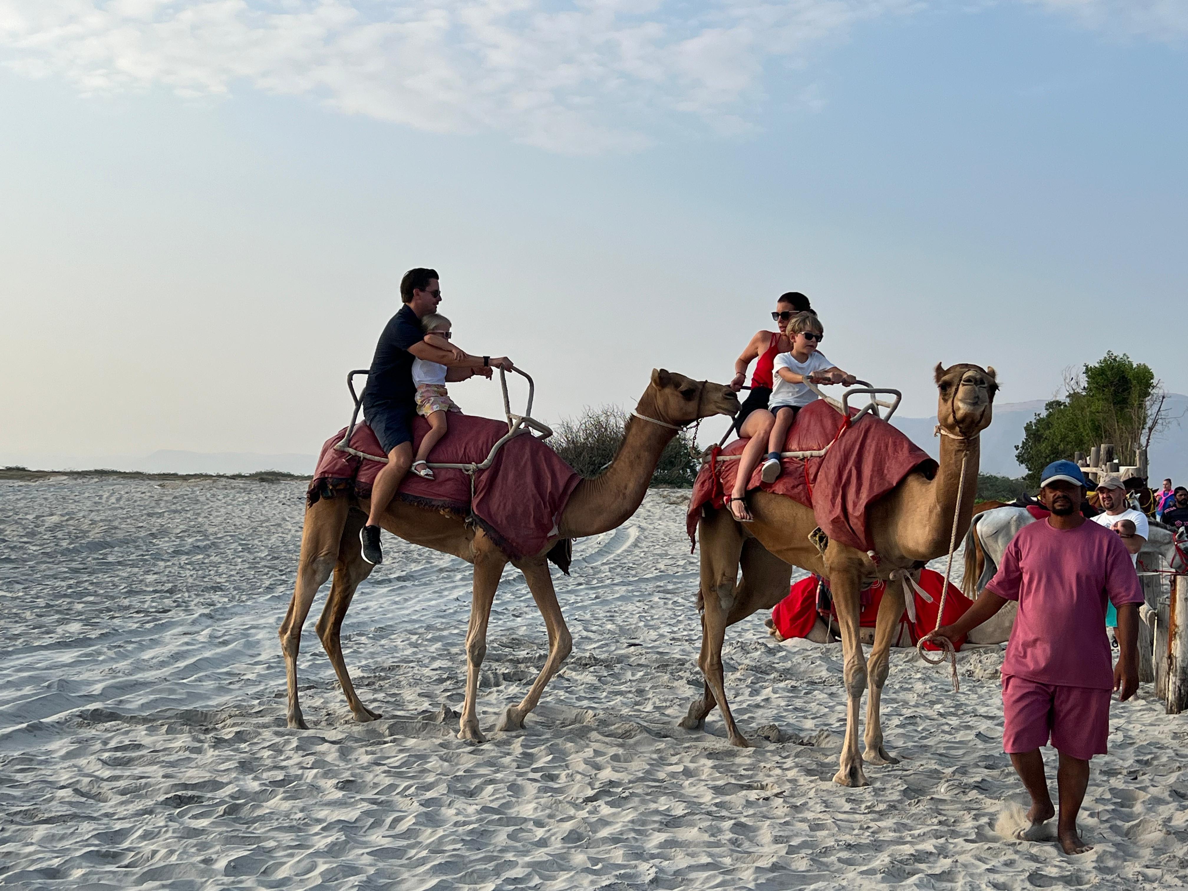 Salalah: Camel Riding on the Beach 2