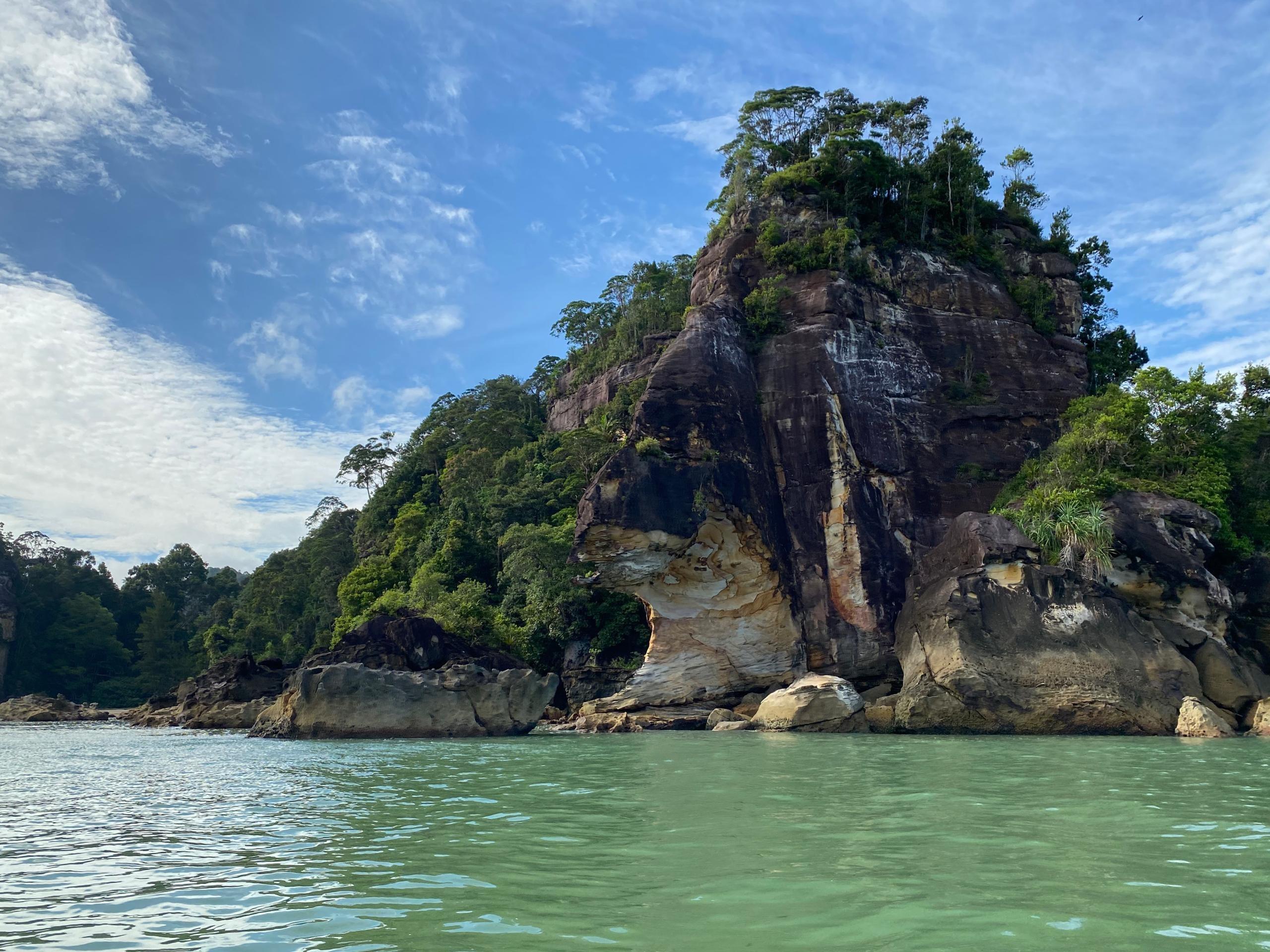 Kuching: Bako Wildlife Day Tour 3