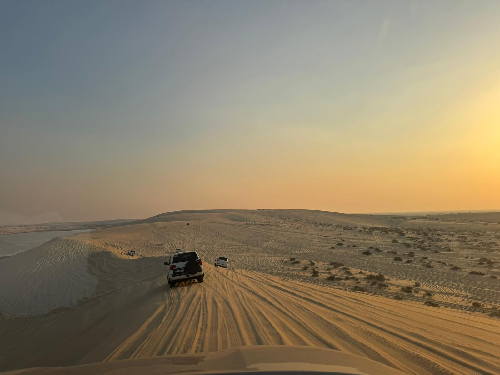 Doha: Desert Safari with Dune Bashing and Sunset Views 3