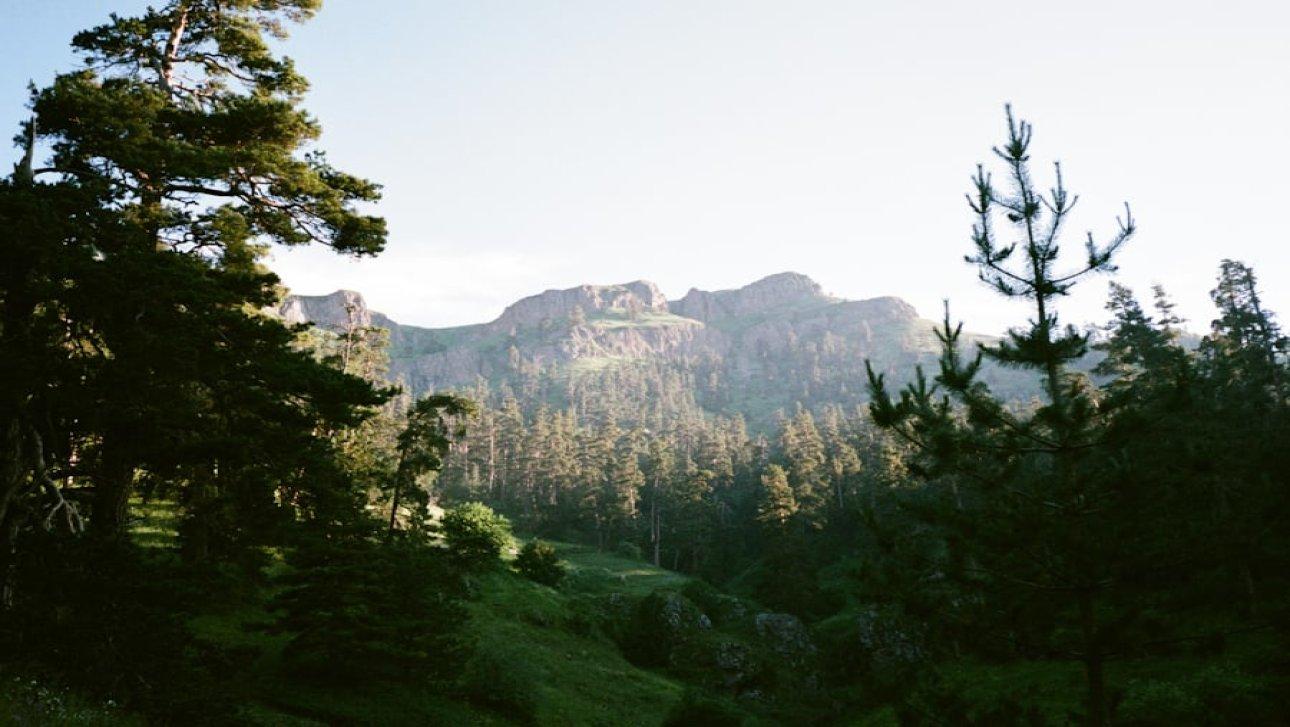 Day Tour Borjomi, Vardzia, & Rabati Castle Tour 2